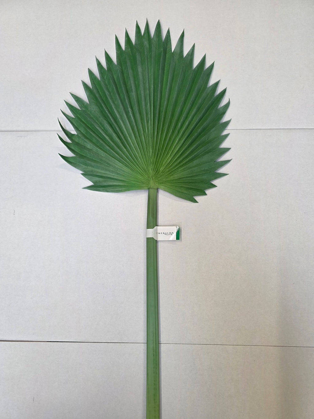 Artificial Washingtonia Leaf Green Grey