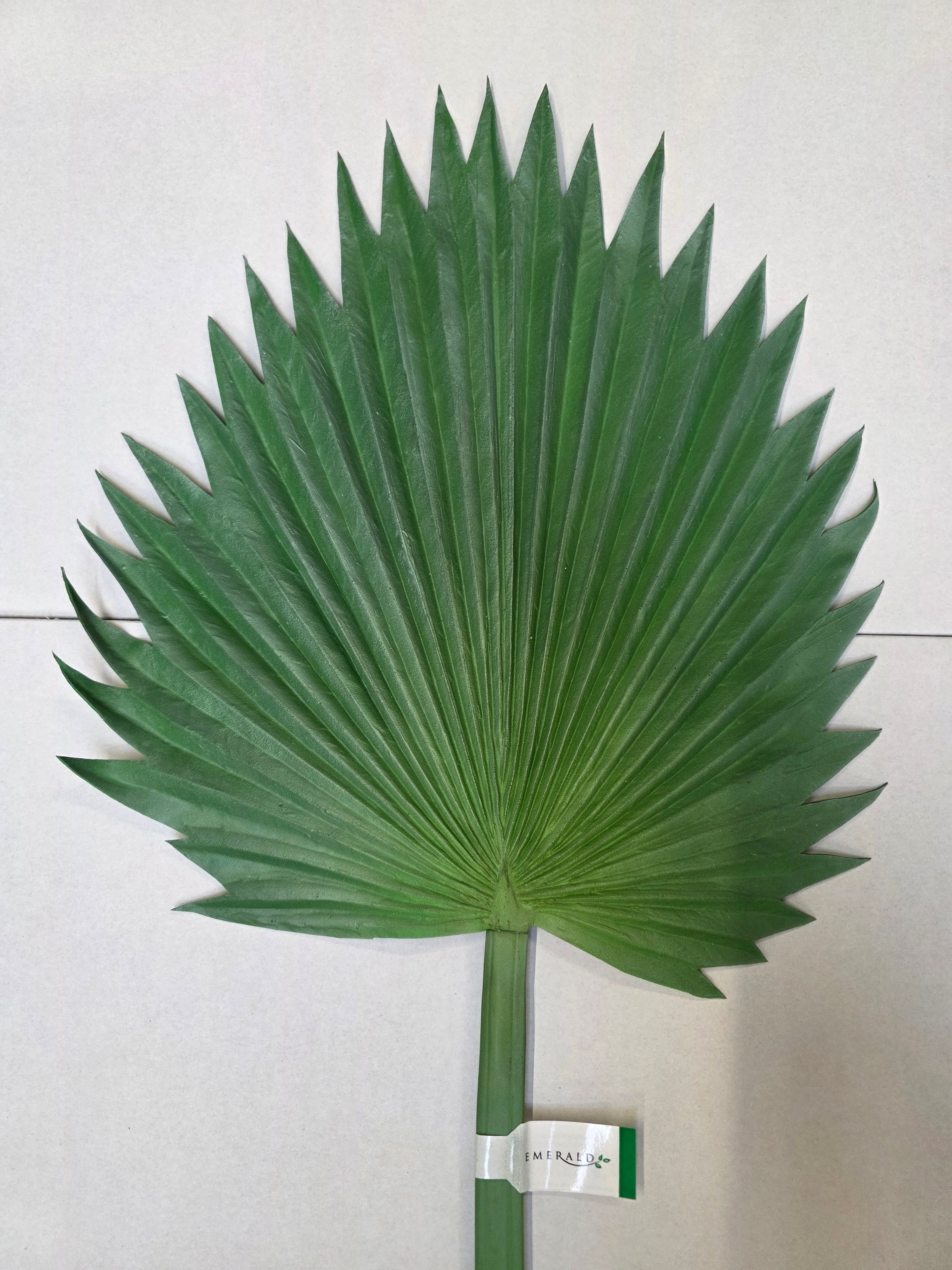 Artificial Washingtonia Leaf Green Grey