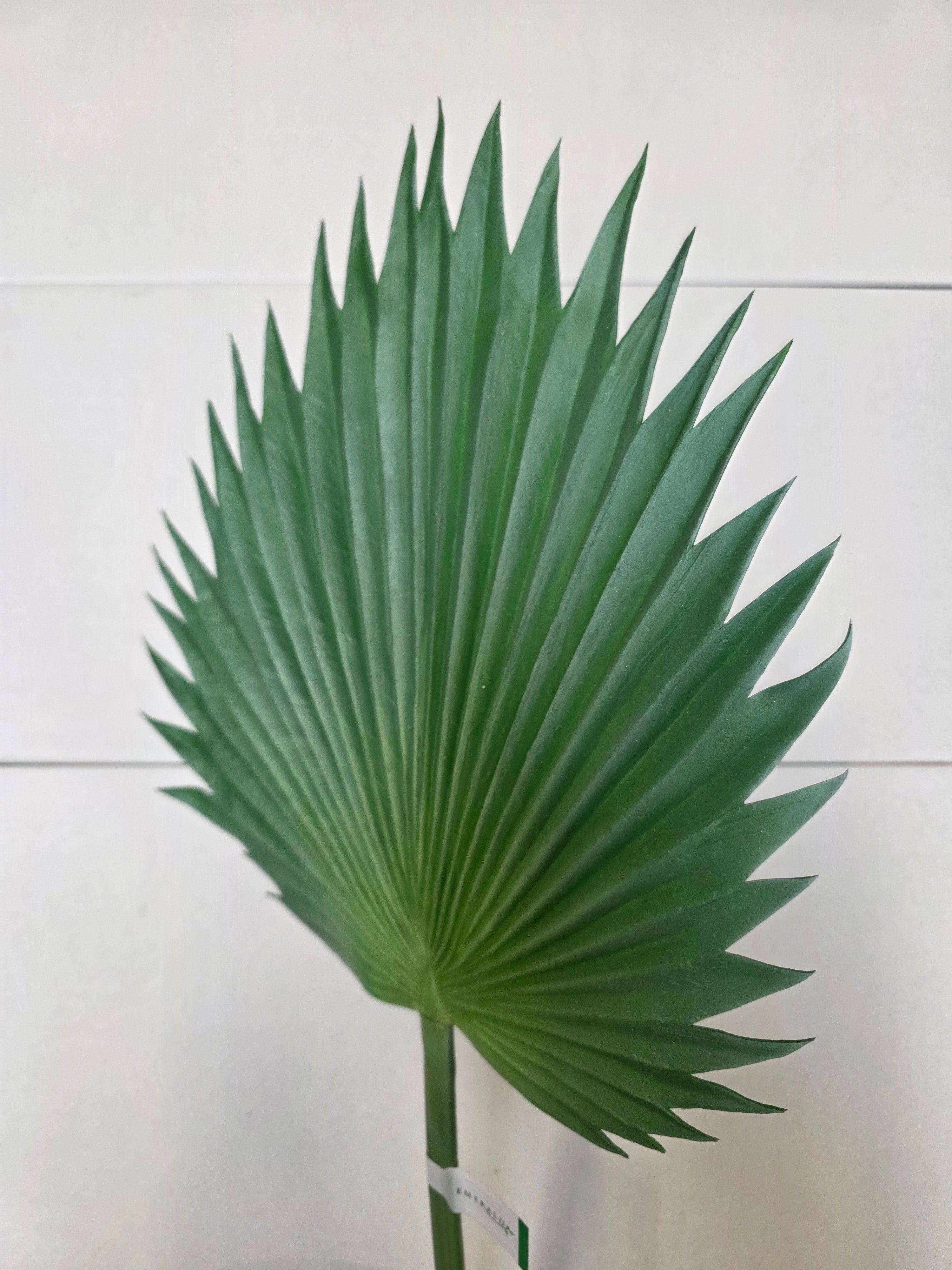 Artificial Washingtonia Leaf Green Grey