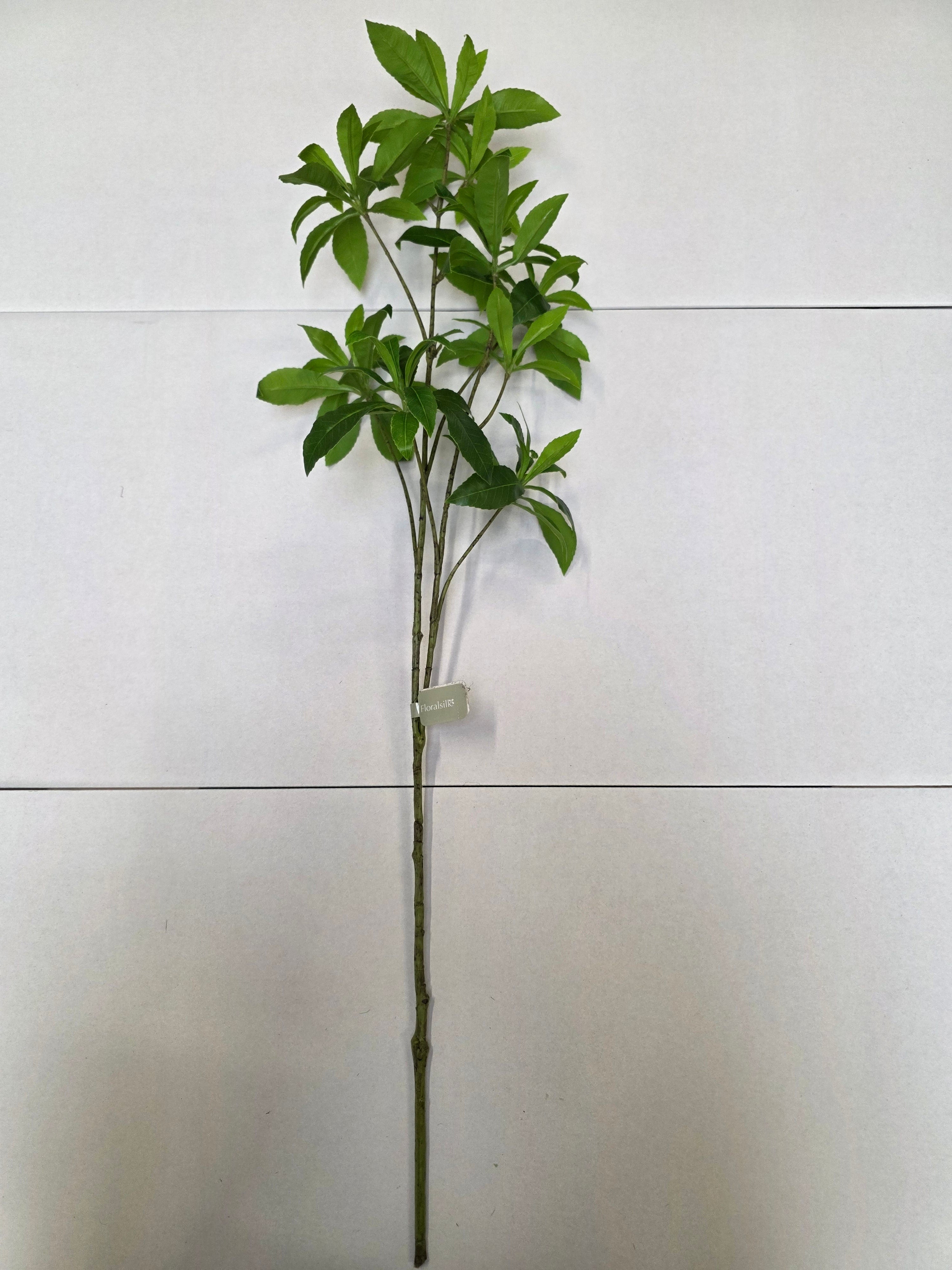 Artificial Wild Schefflera Spray Green