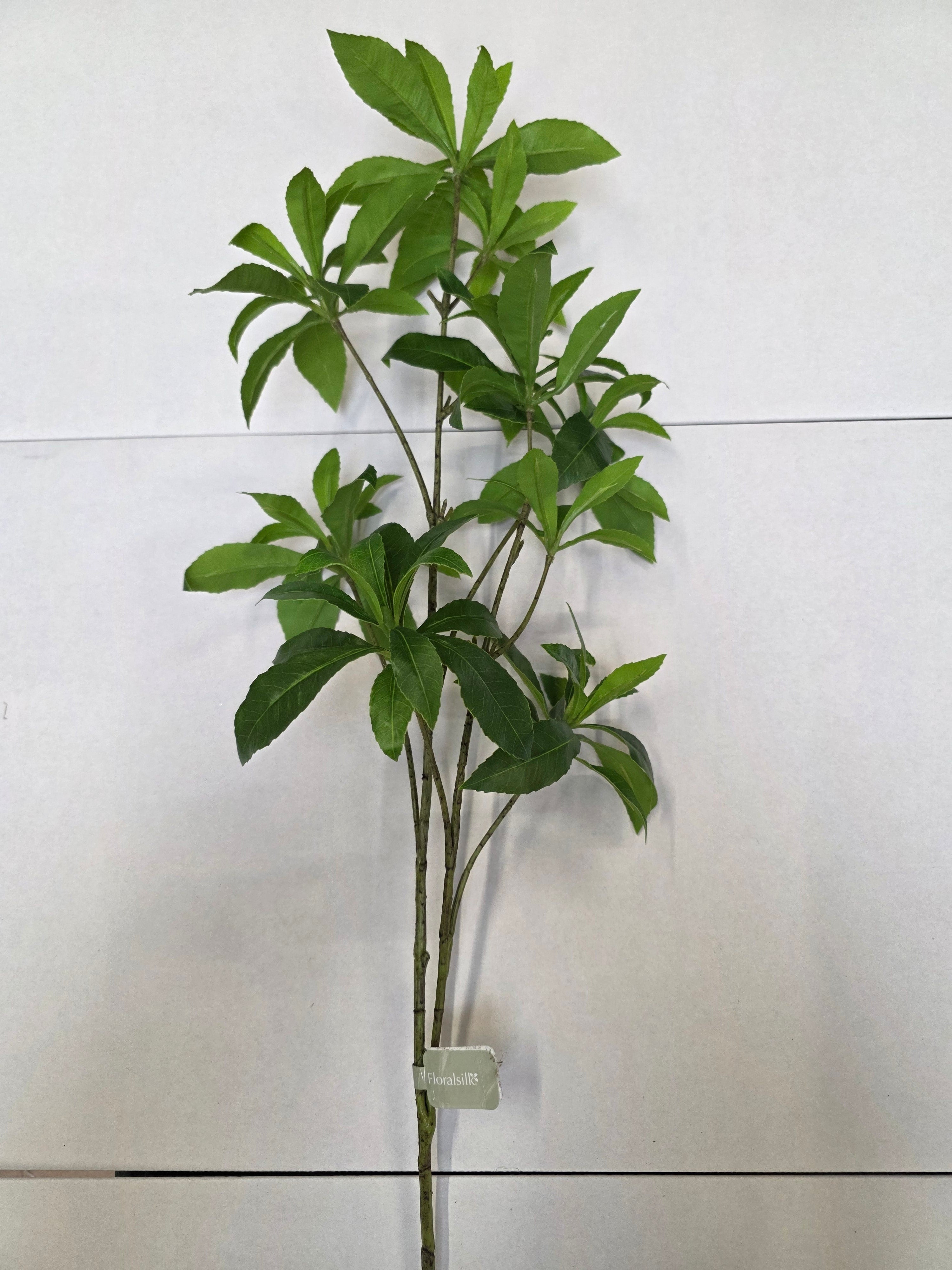 Artificial Wild Schefflera Spray Green