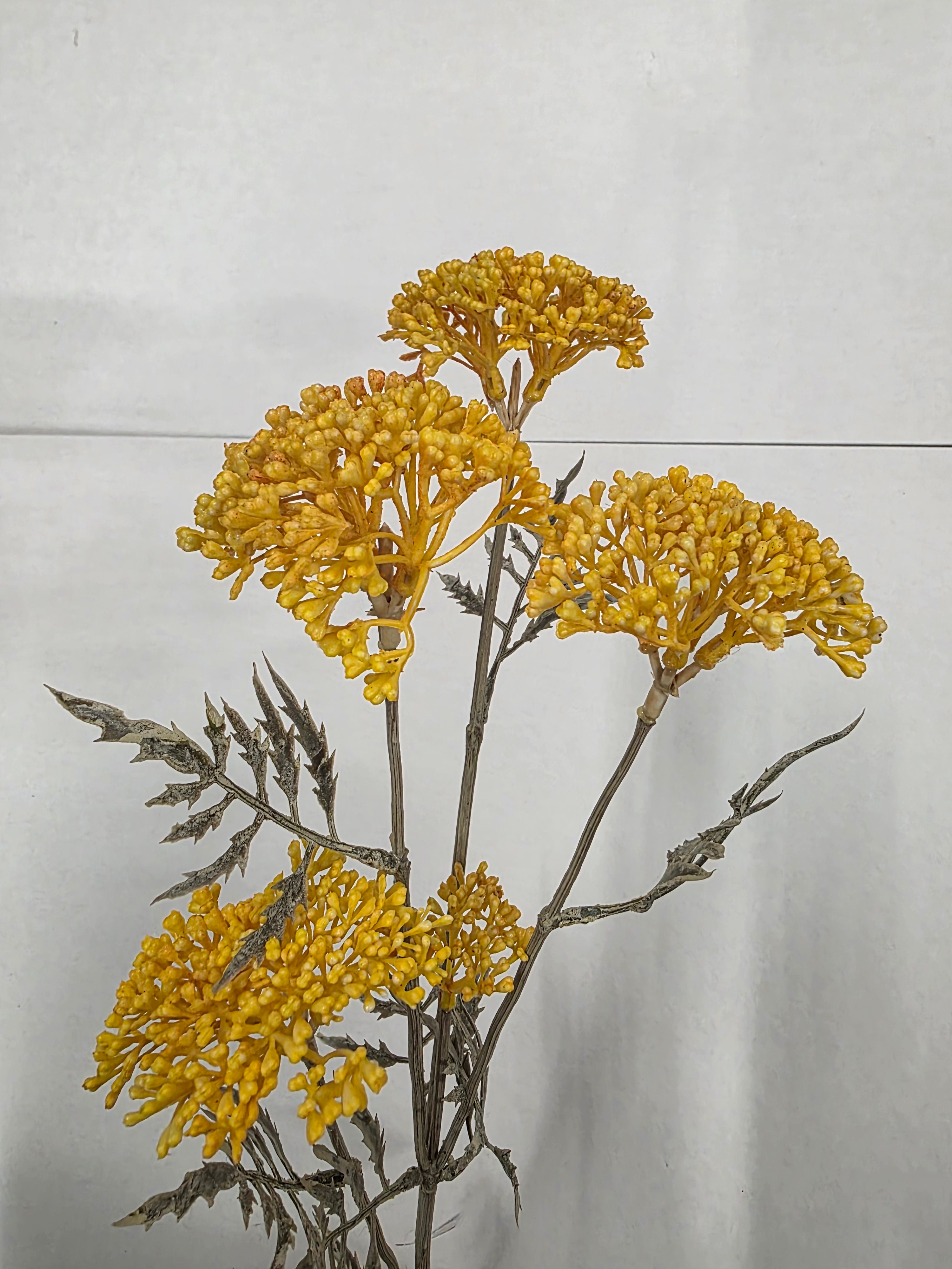 Artificial Achillia Branch X 5 Yellow