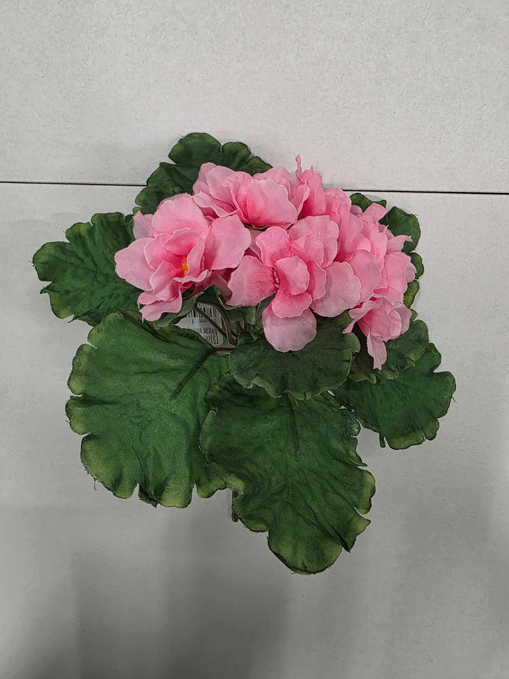 Artificial African Violet Pink