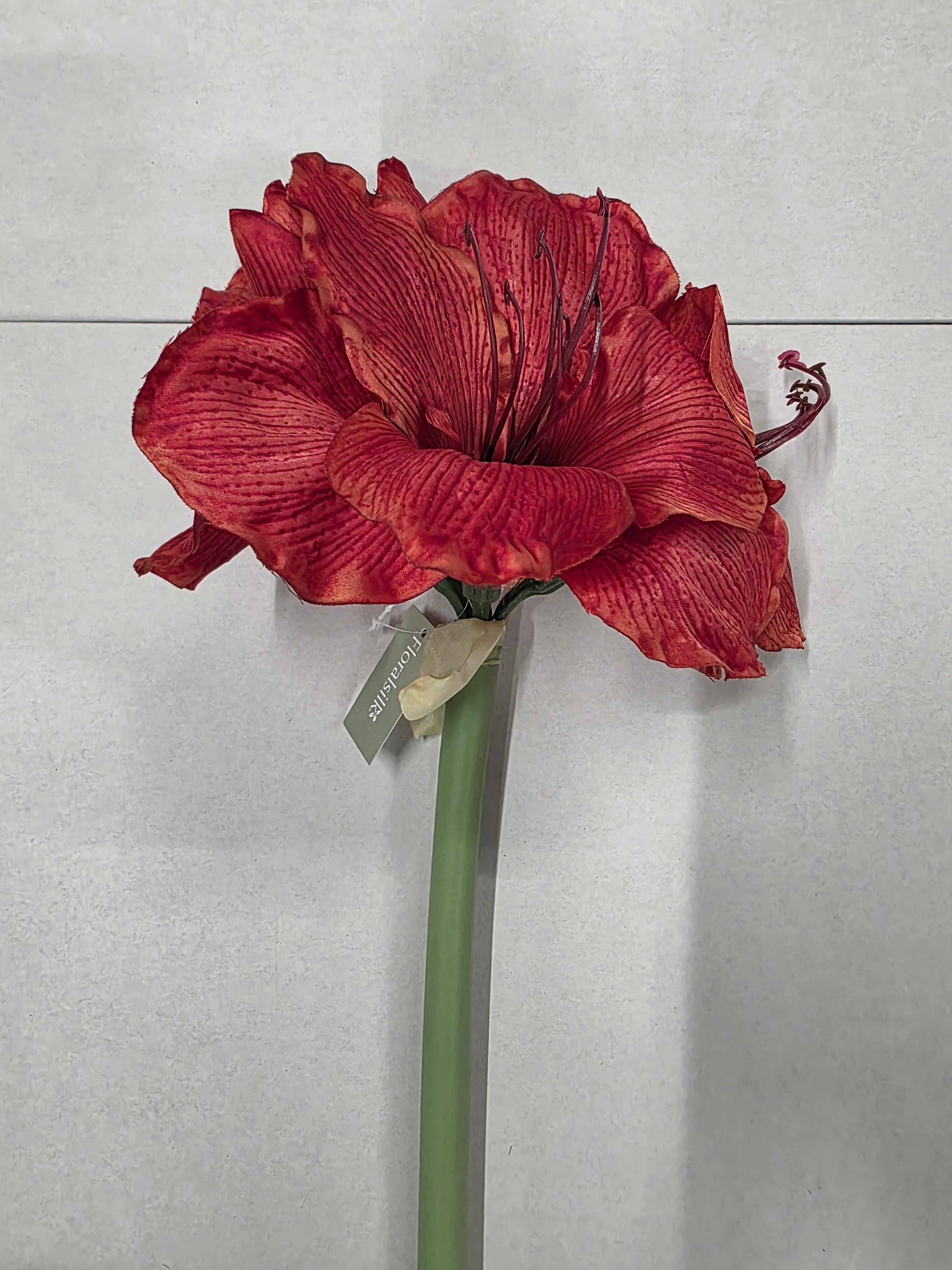 Artificial Amaryllis Red