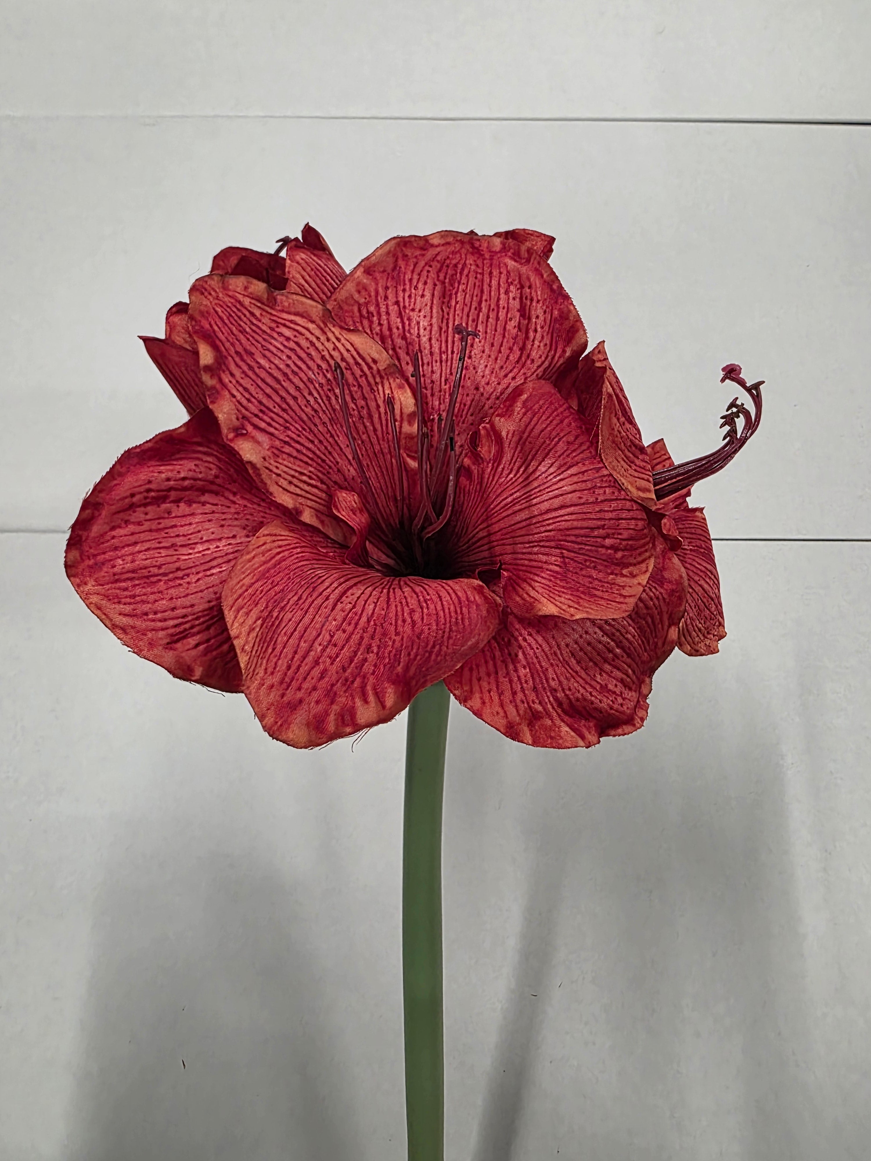 Artificial Amaryllis Red