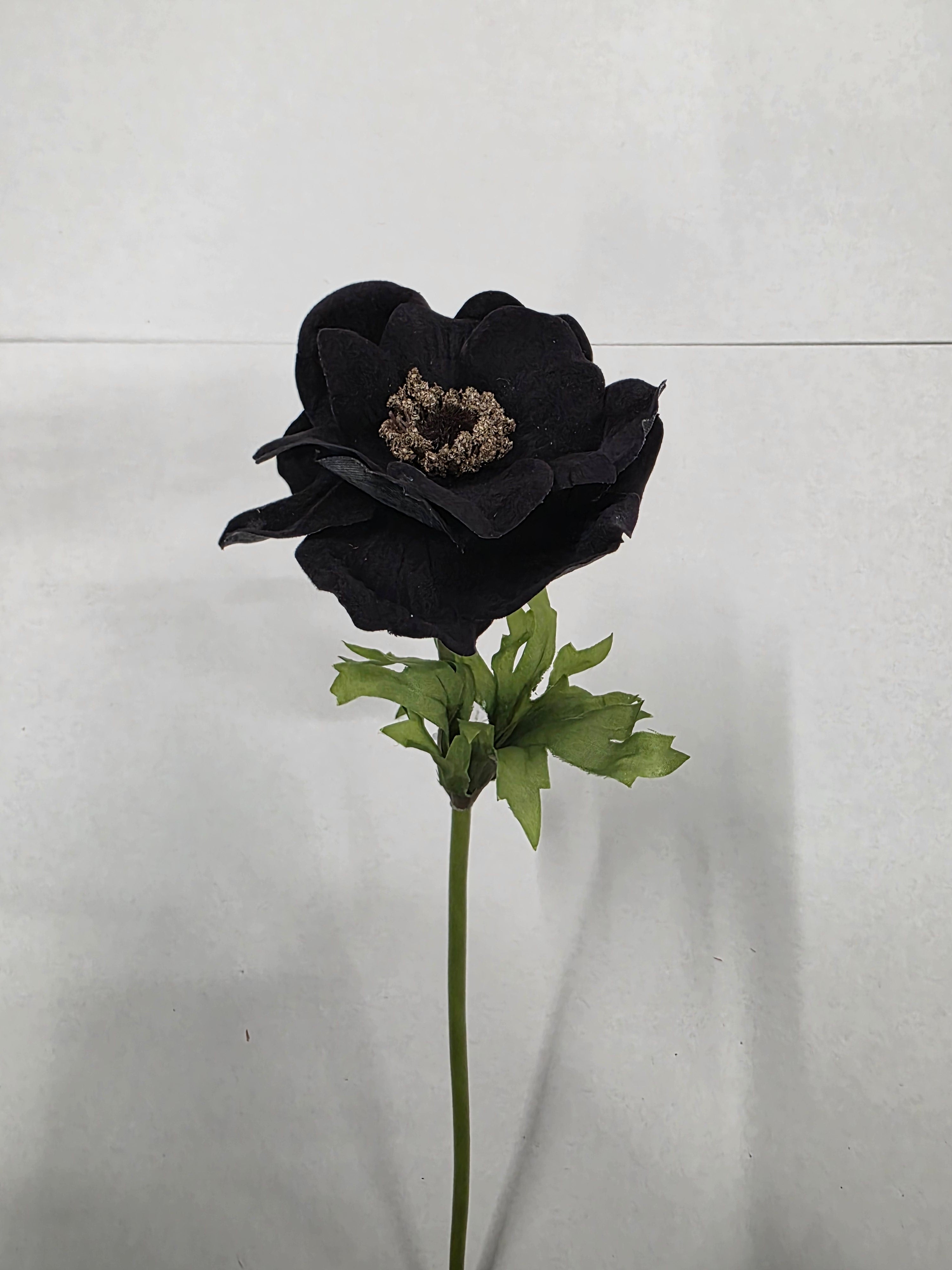 Artificial Anemone Black Velvet 42cm (PACK OF 4)