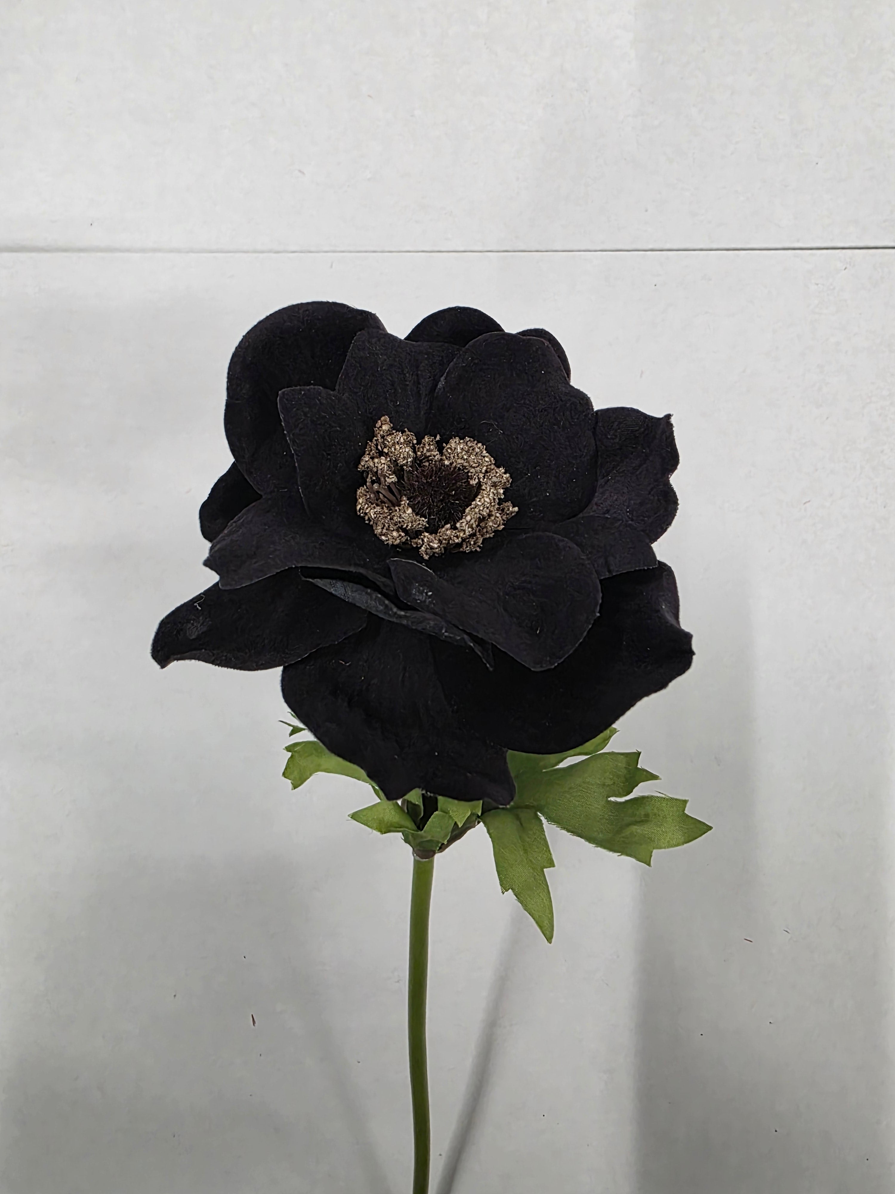 Artificial Anemone Black Velvet 42cm (PACK OF 4)