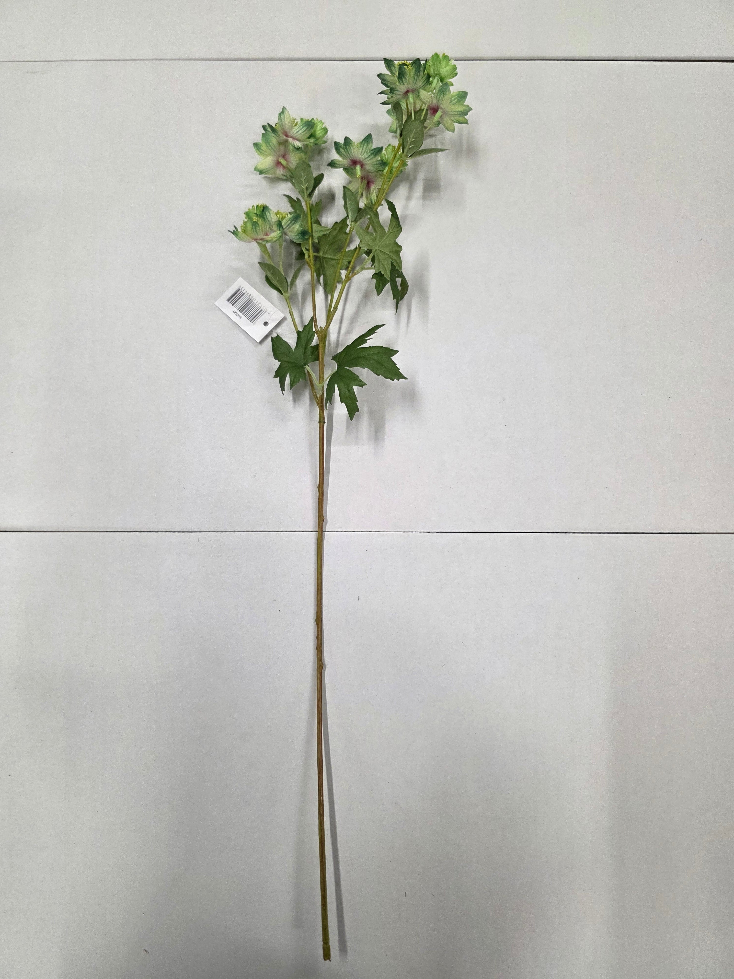 Artificial Astrantia Meadow Green 66cm (PACK OF 2)