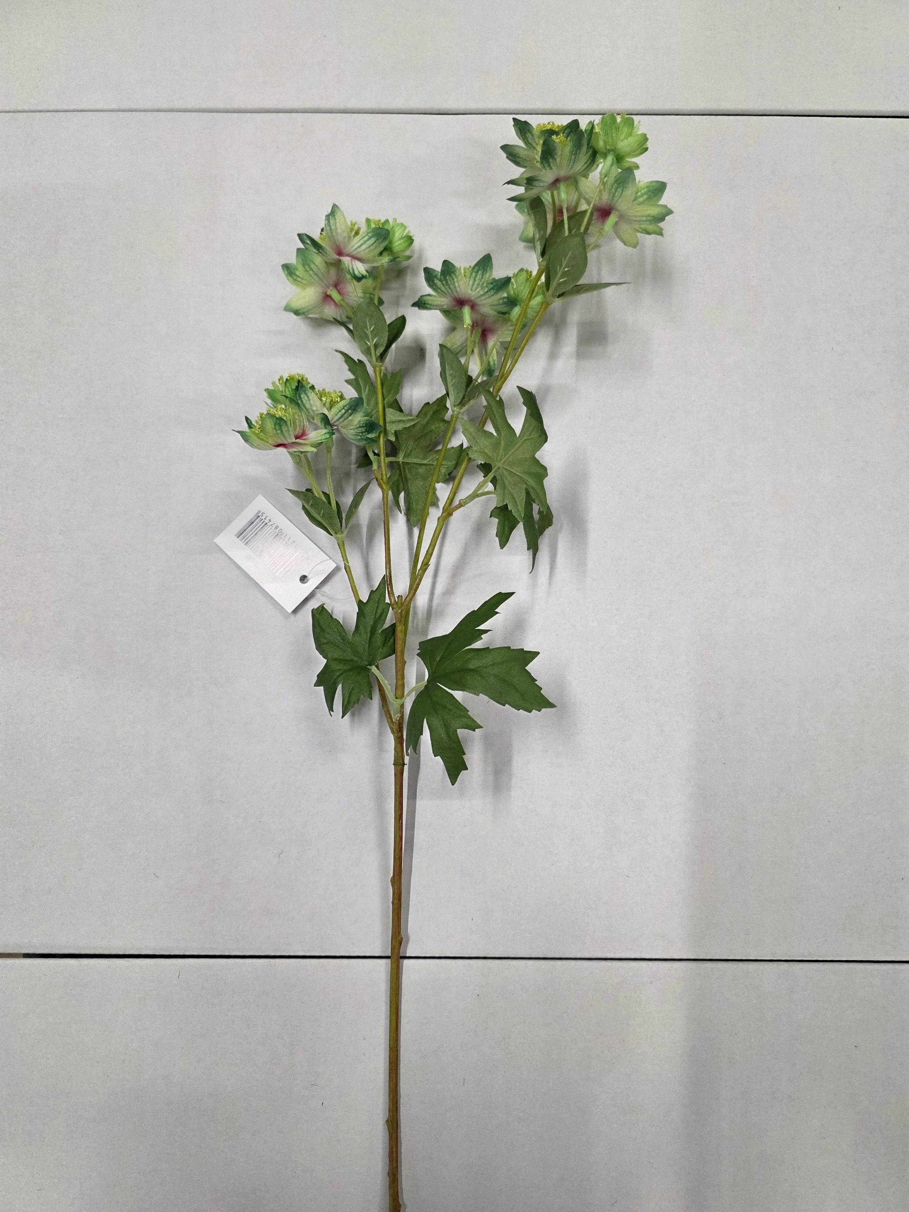 Artificial Astrantia Meadow Green 66cm (PACK OF 2)