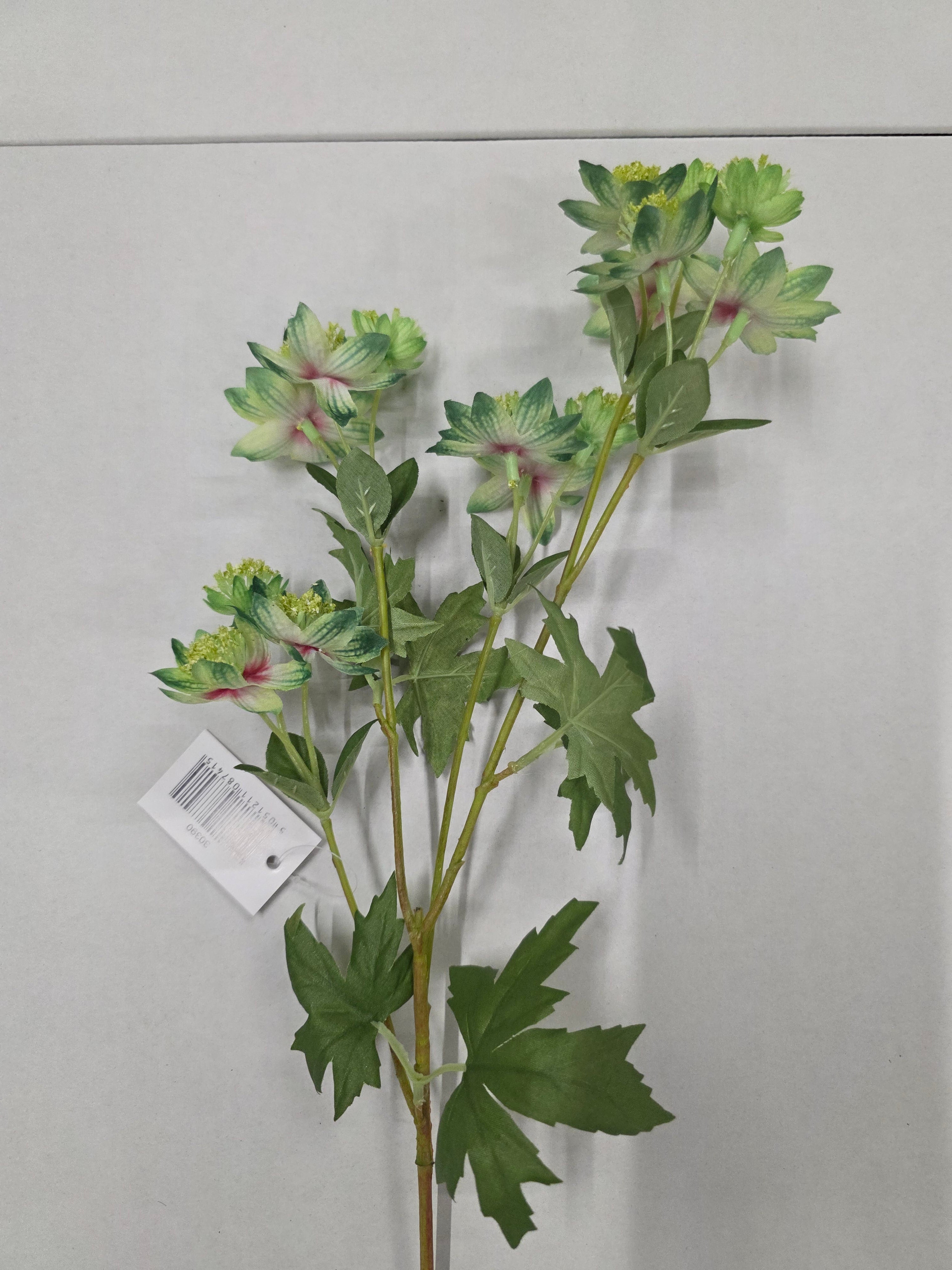 Artificial Astrantia Meadow Green 66cm (PACK OF 2)