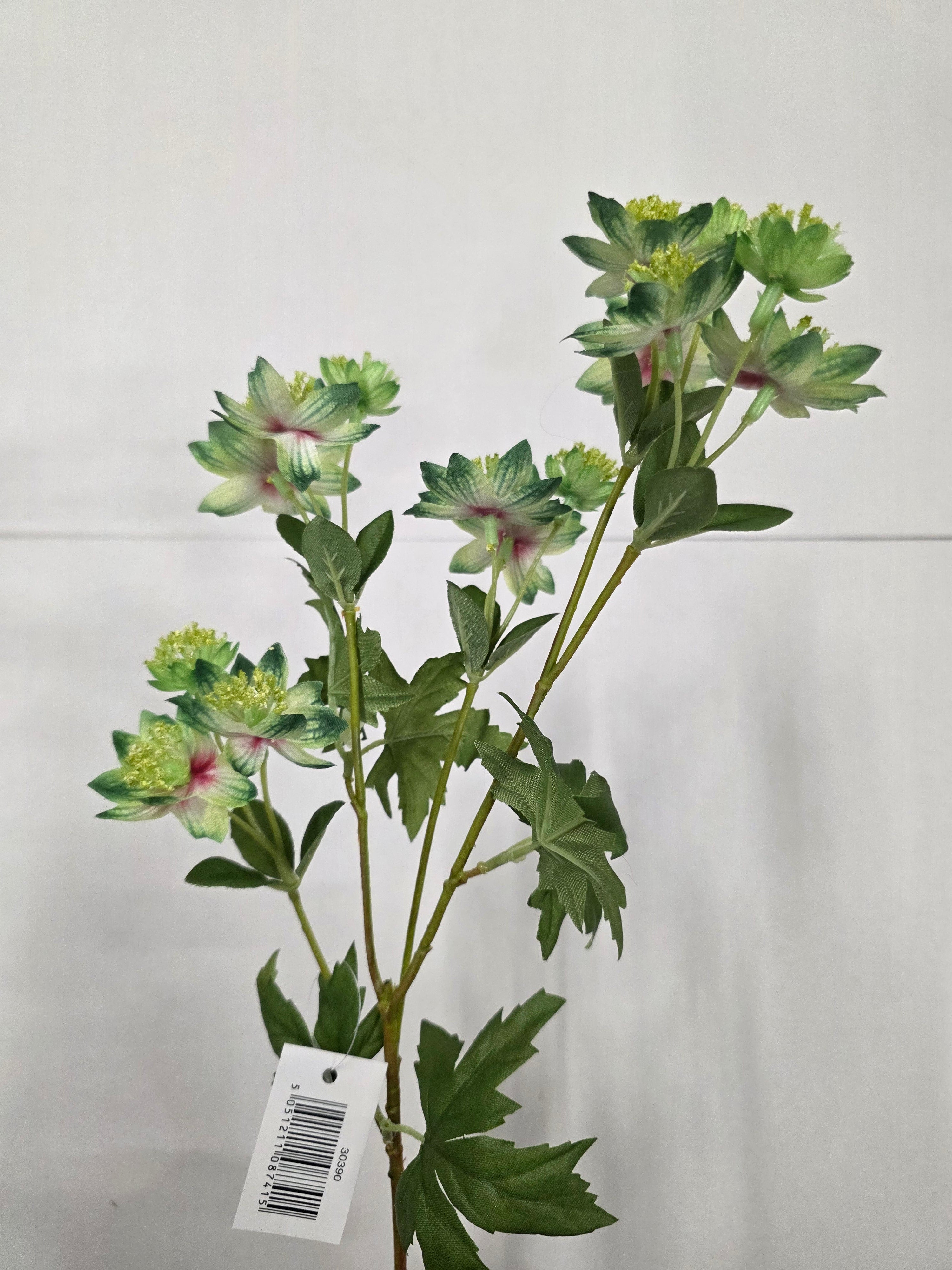 Artificial Astrantia Meadow Green 66cm (PACK OF 2)