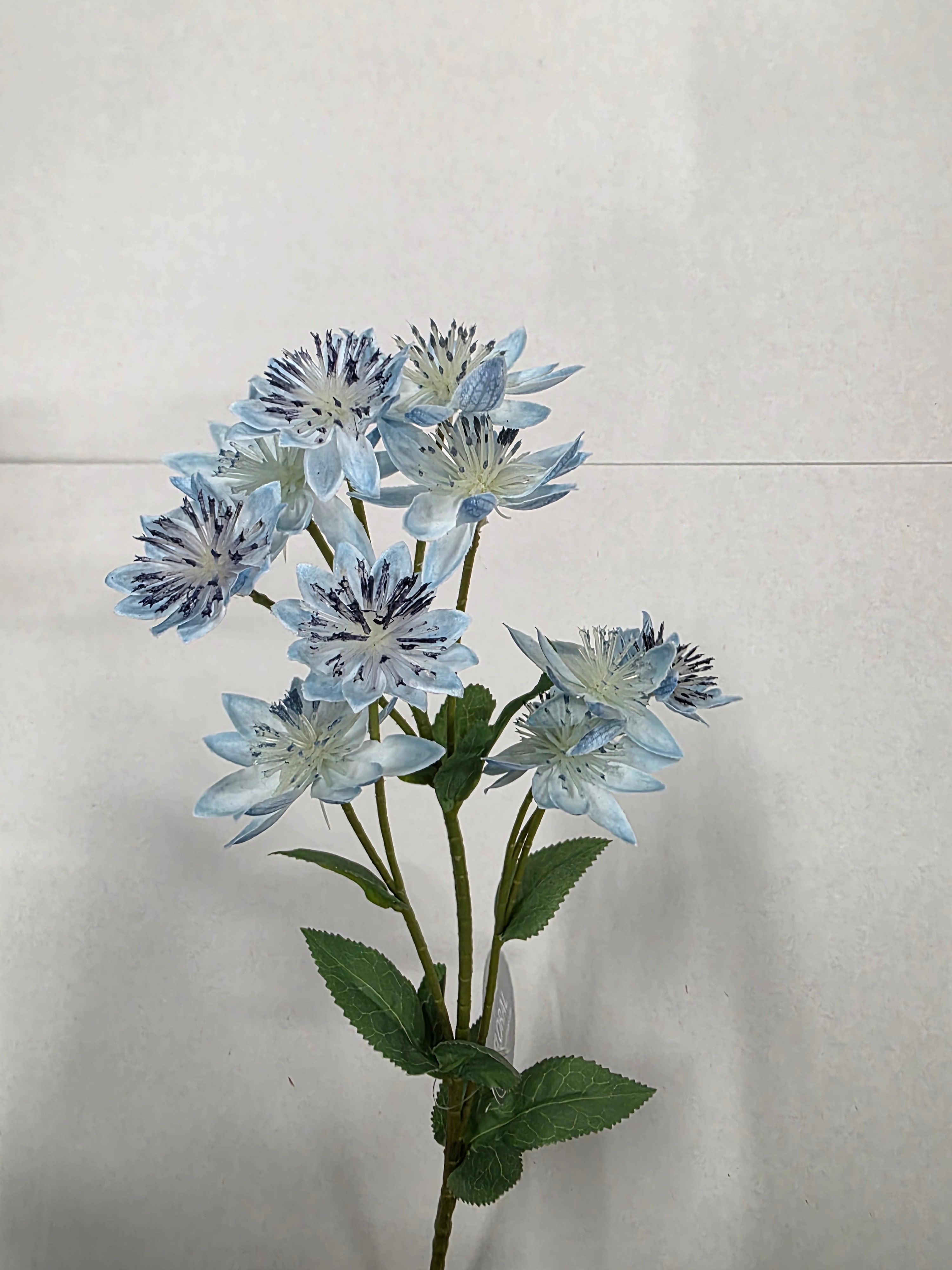 Artificial Astrantia Spray 61cm Blue (PACK OF 3)