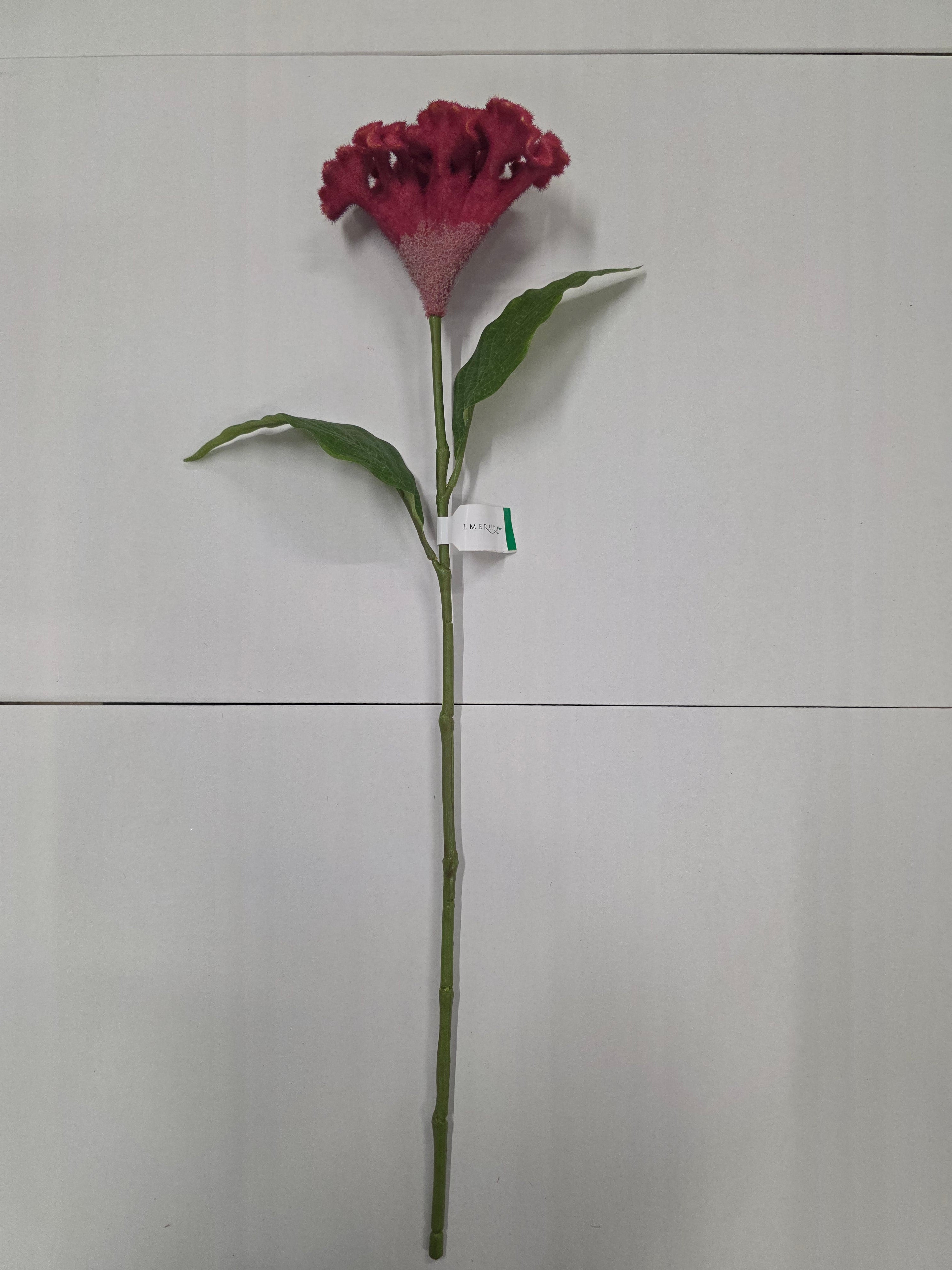 Artificial Celosia Spray Beauty 62cm