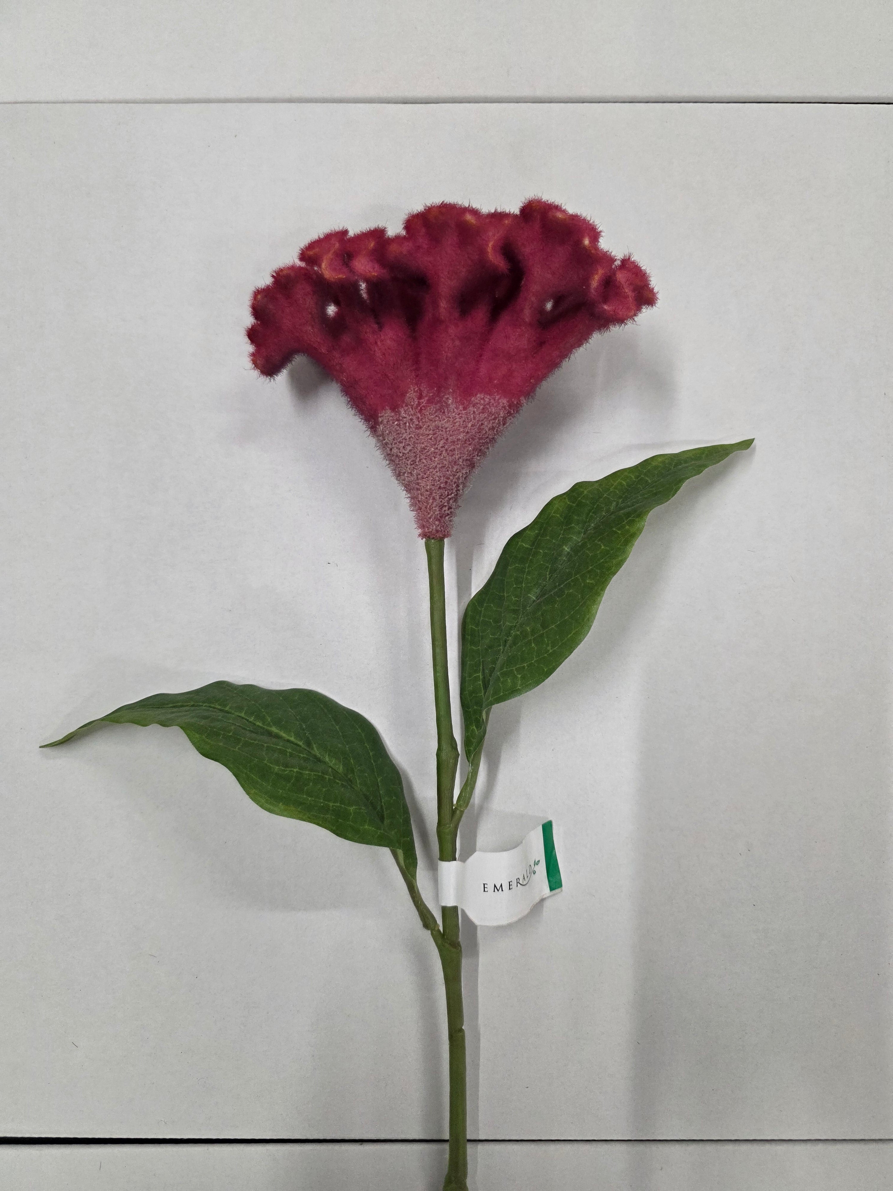 Artificial Celosia Spray Beauty 62cm