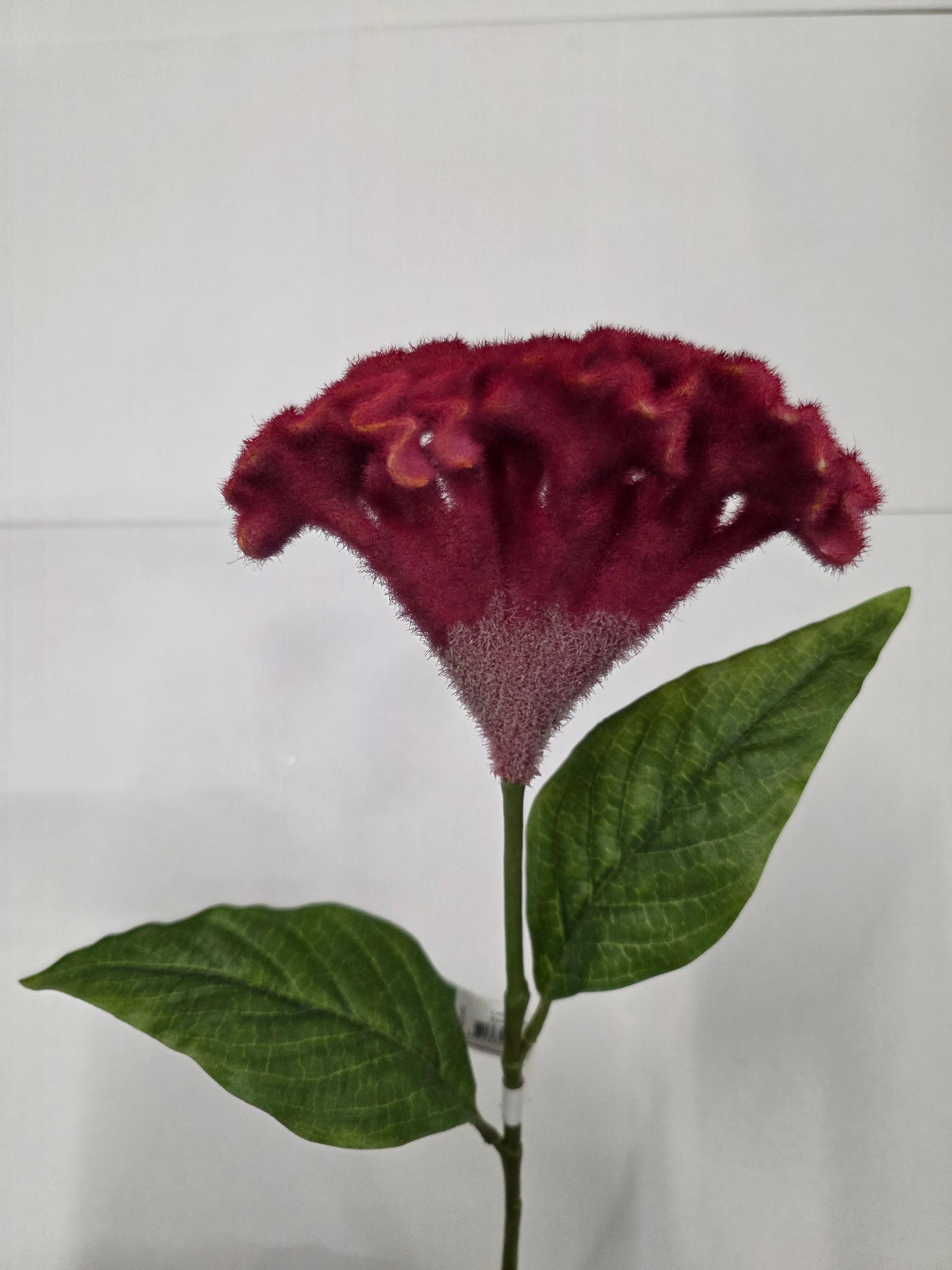 Artificial Celosia Spray Beauty 62cm