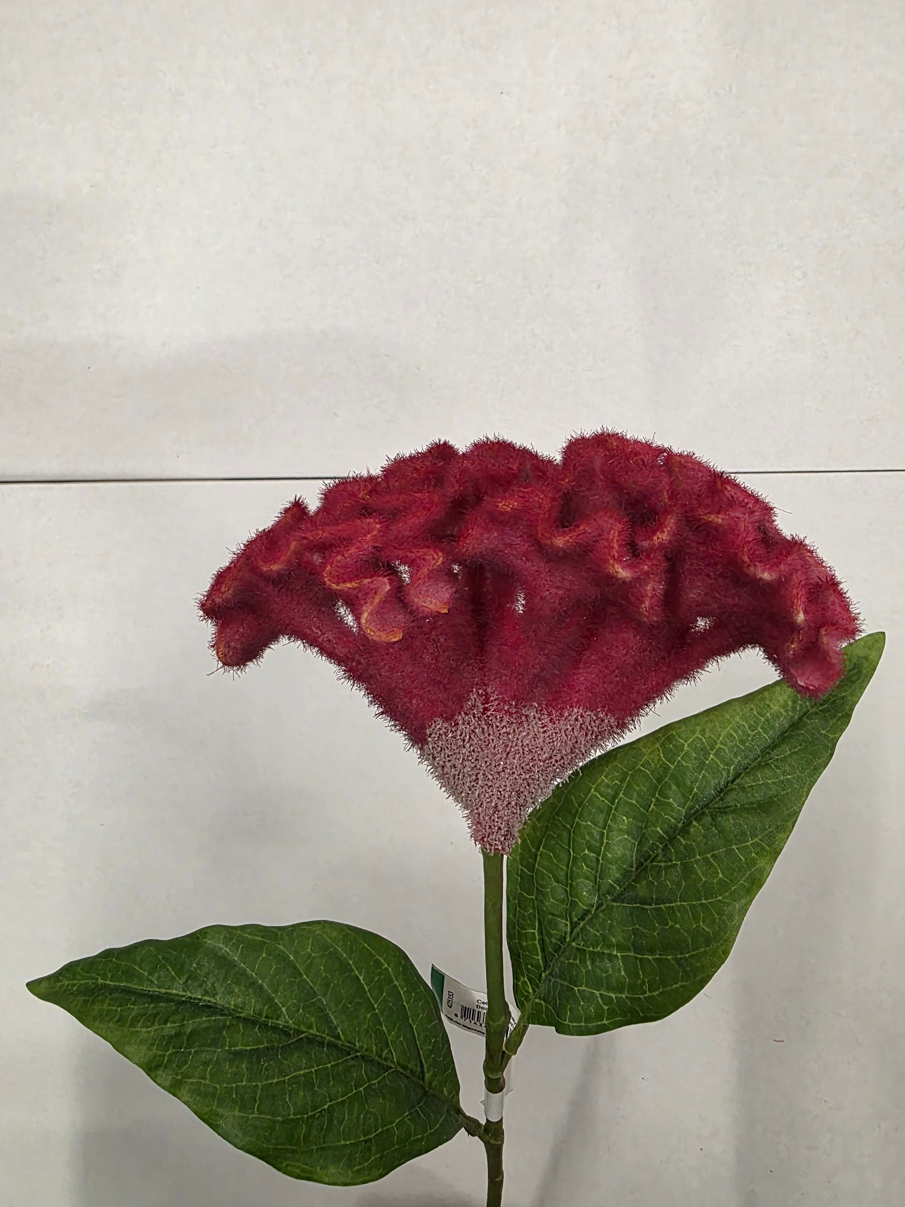 Artificial Celosia Spray Beauty 62cm
