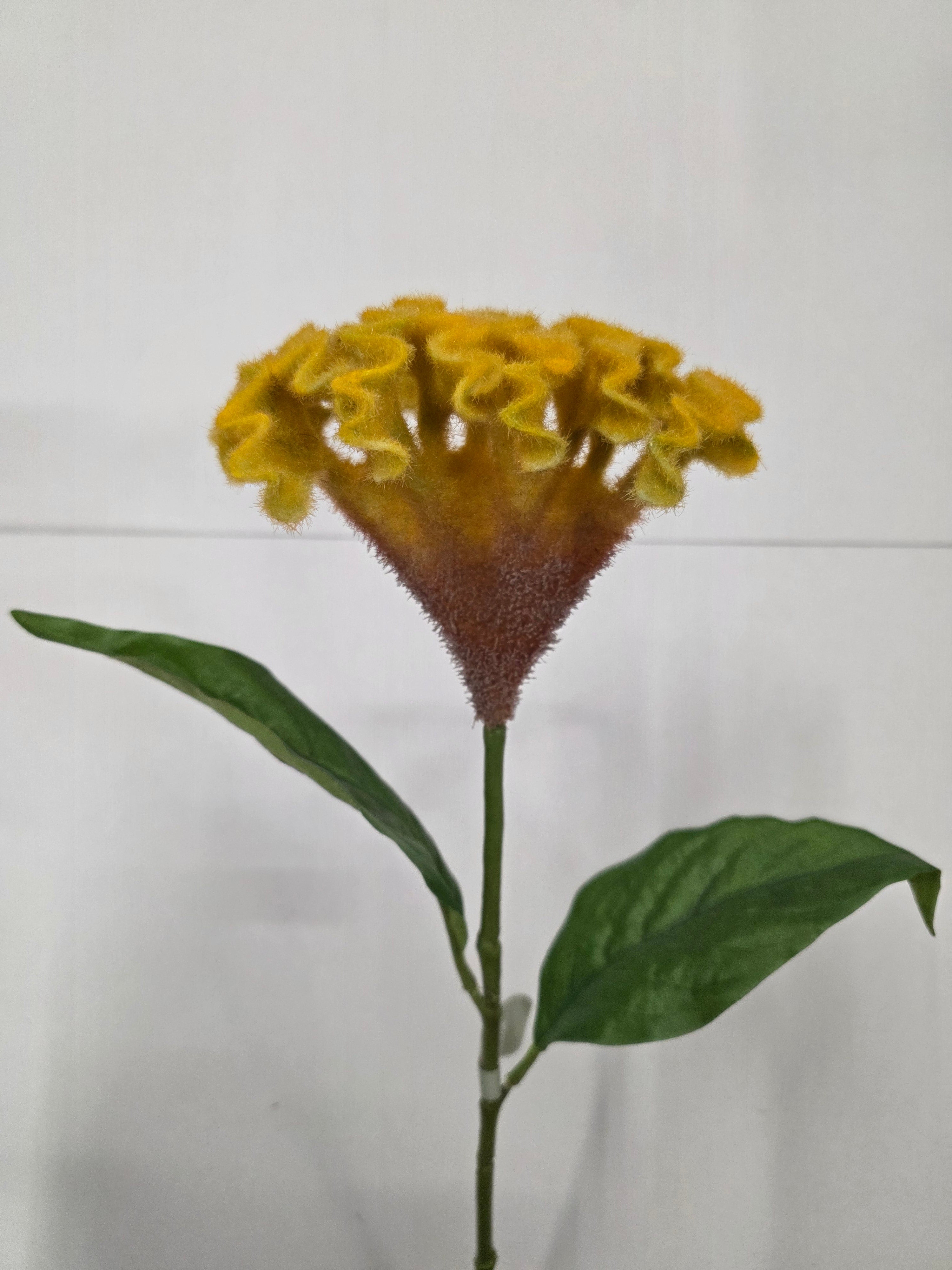 Artificial Celosia Spray Yellow 62cm (PACK OF 2)