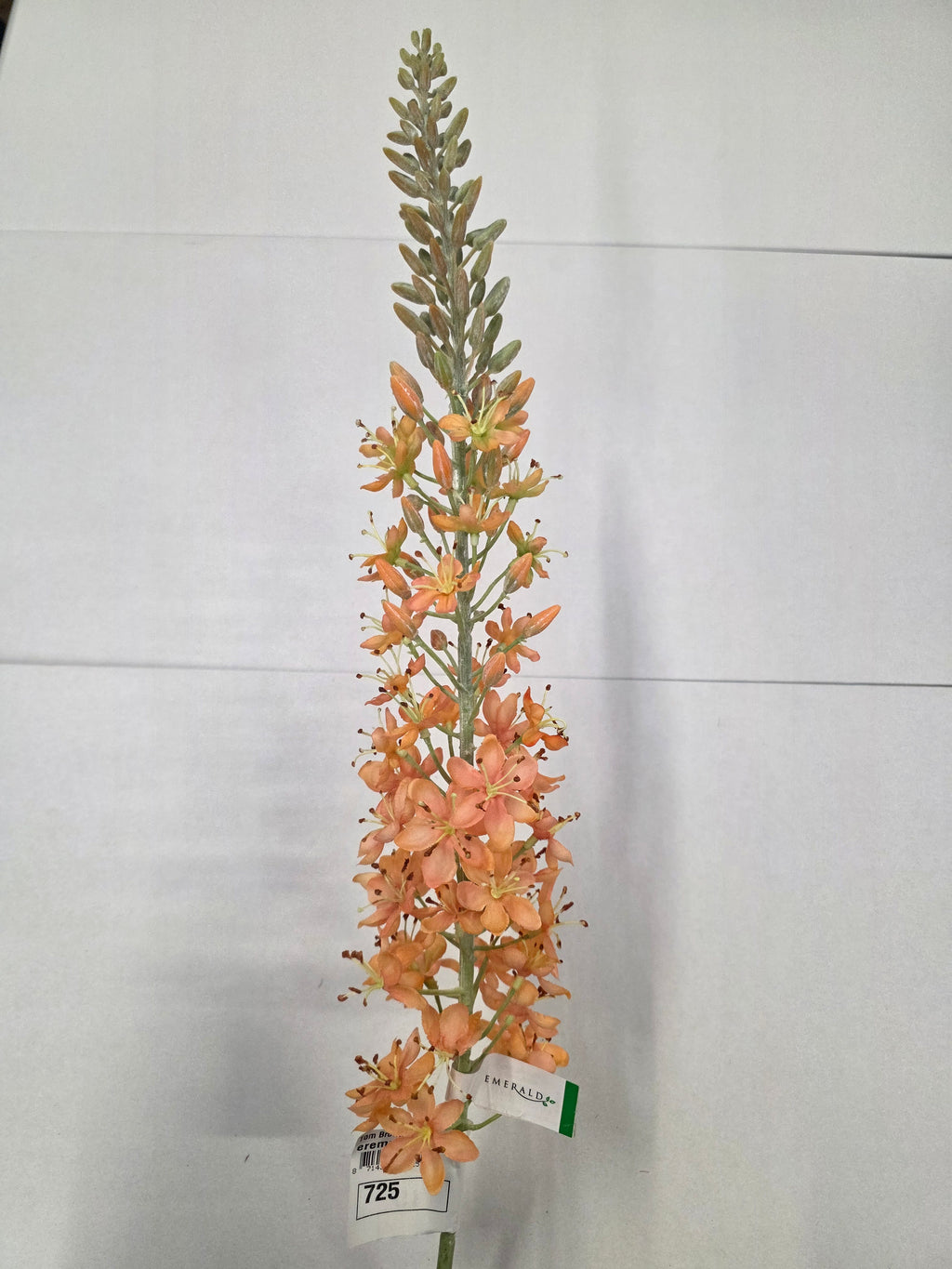 Artificial Eremurus Spray Peach