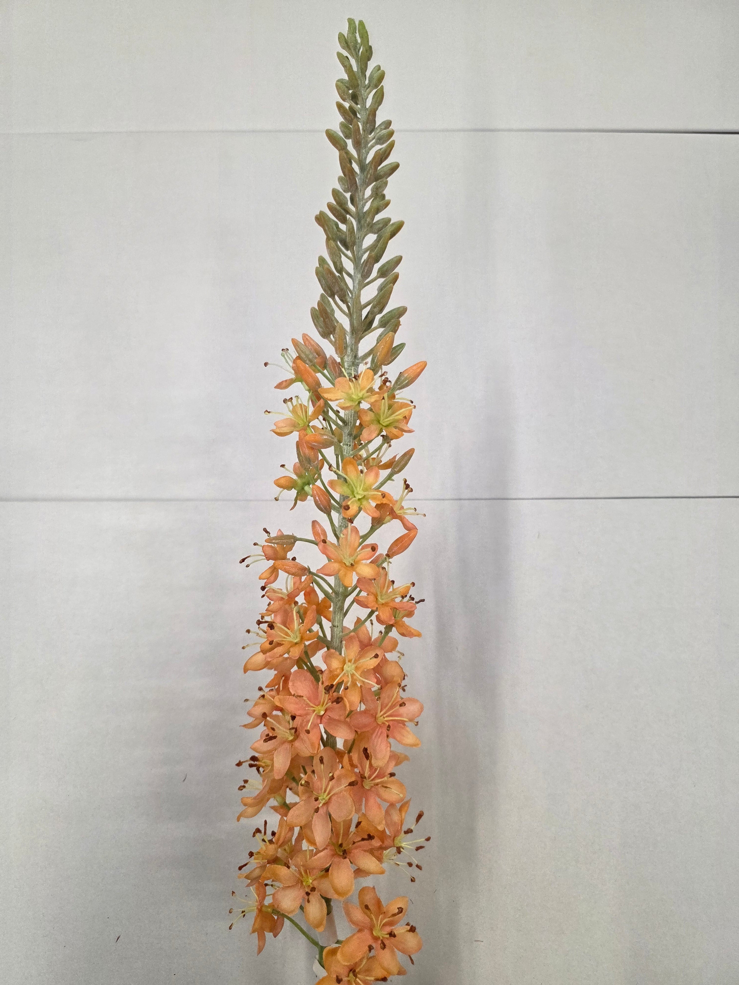 Artificial Eremurus Spray Peach