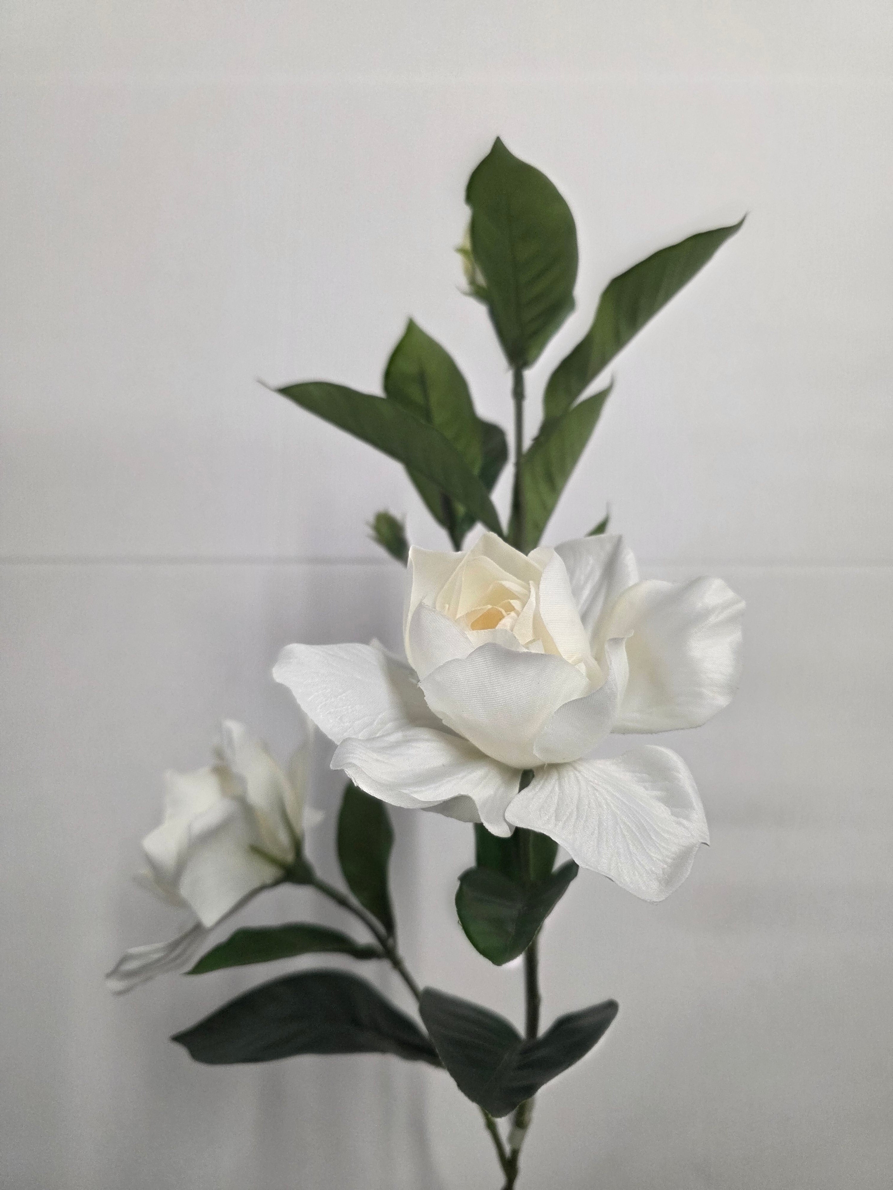 Artificial Gardenia White