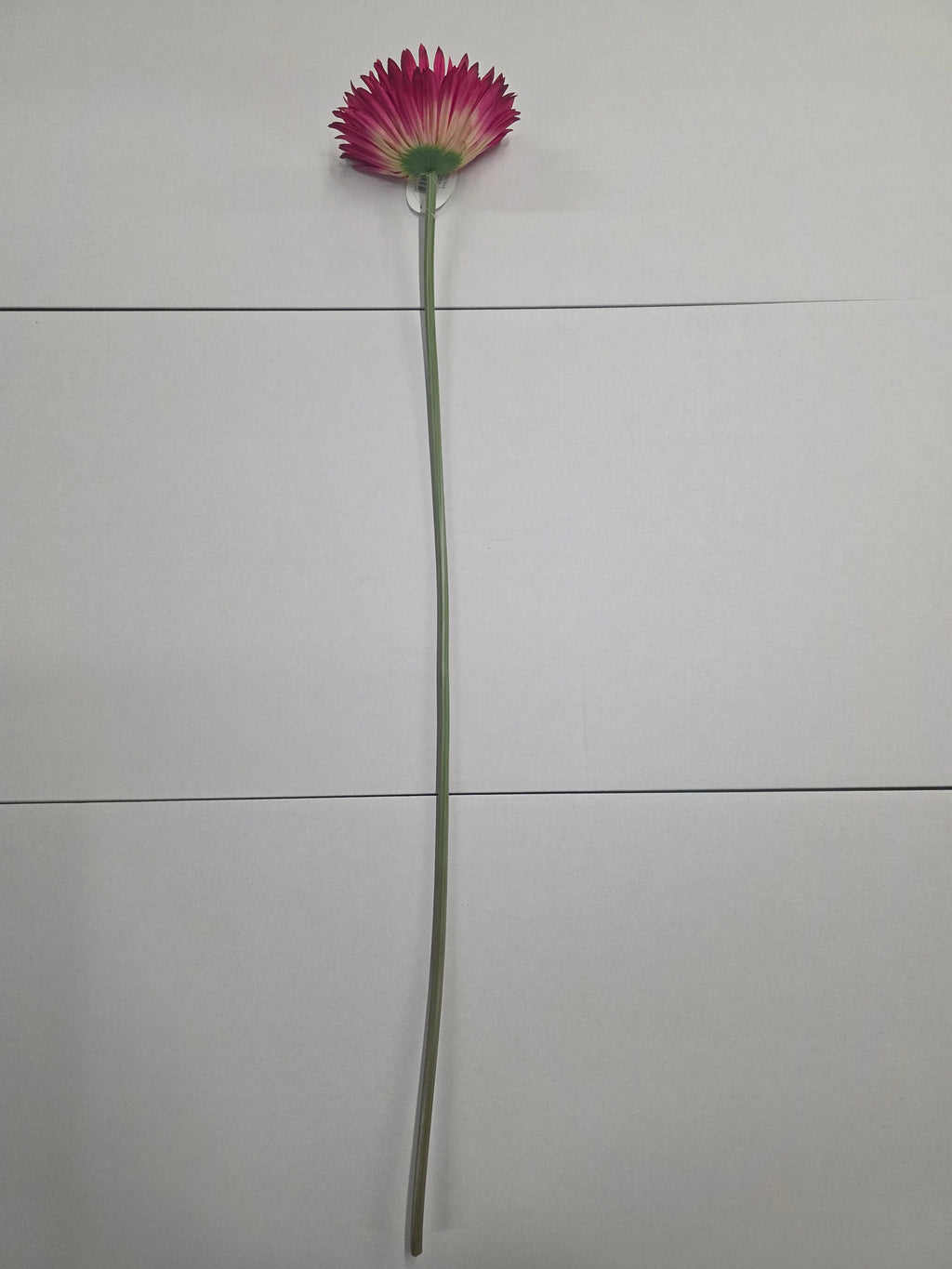 Artificial Gerbera Double Cerise(PAACK OF 2)