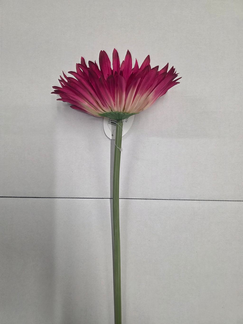Artificial Gerbera Double Cerise(PAACK OF 2)
