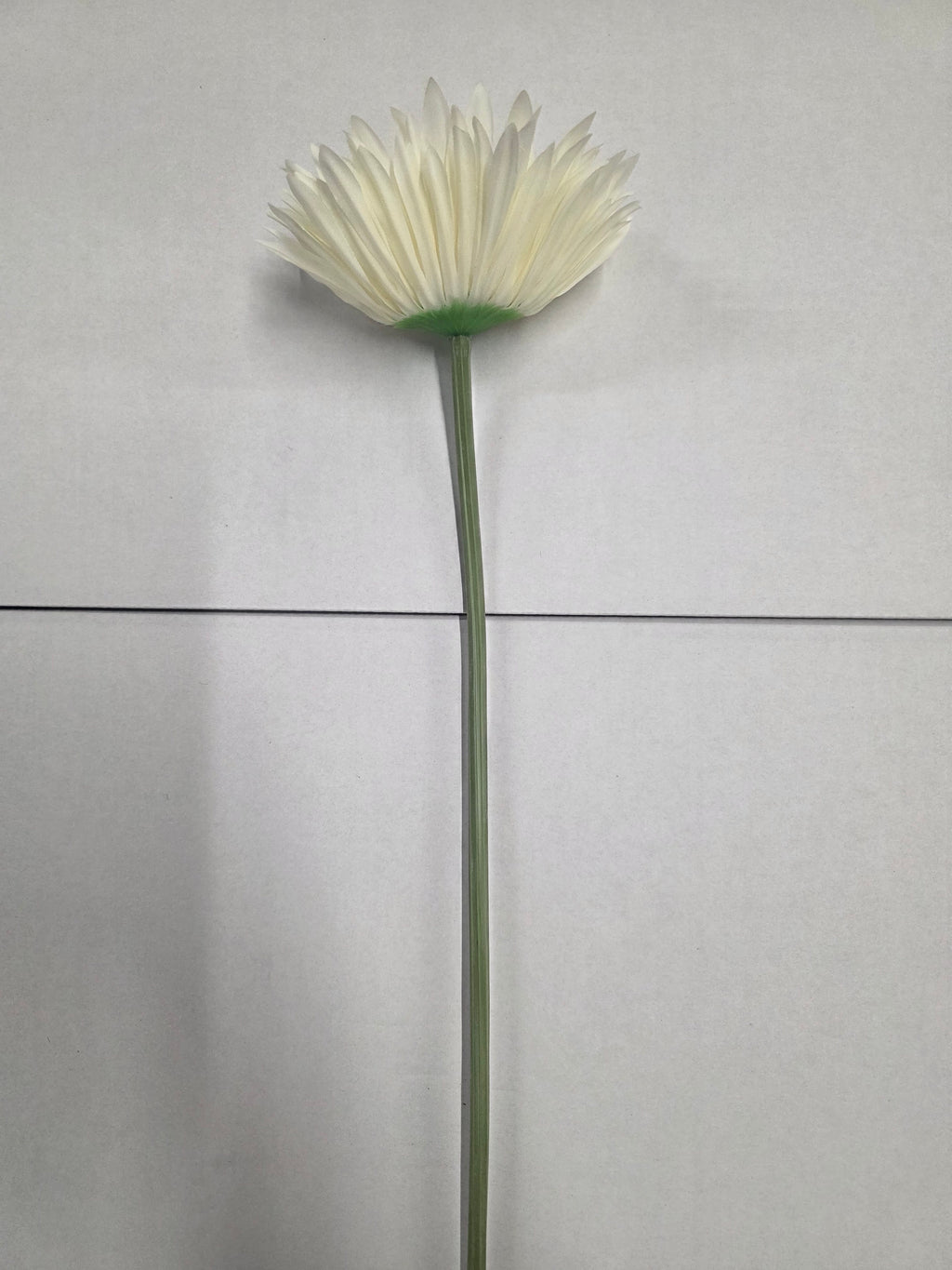 Artificial Gerbera Double White (PACK OF 2)