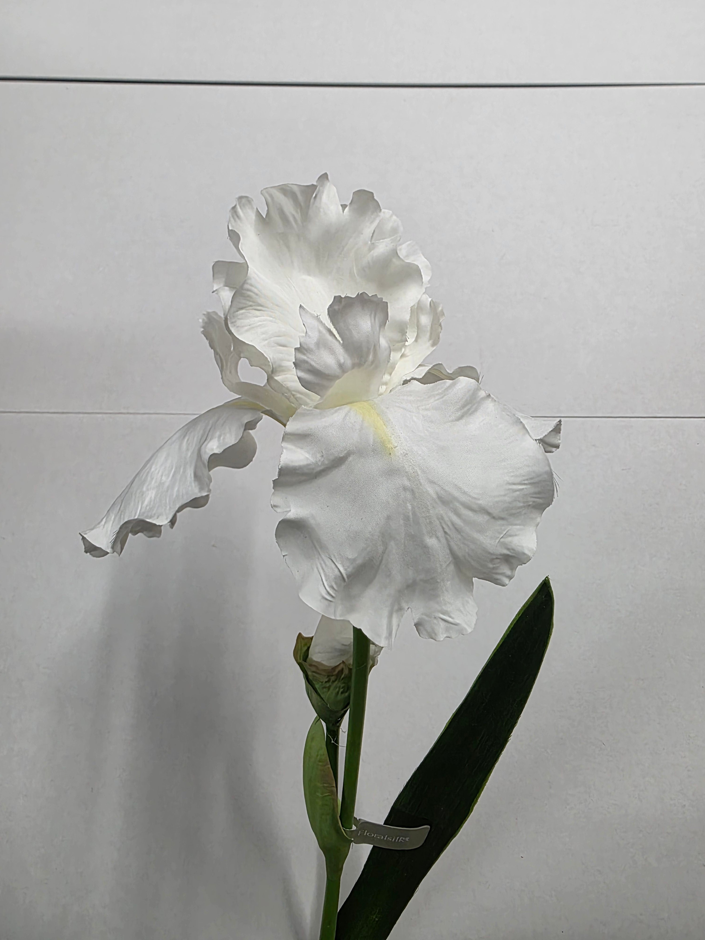 Artificial Iris White Flag 90cm