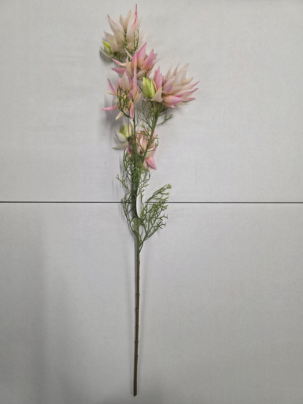 Artificial Leucadendron Spray Pink Green 68cm (PACK OF 2)