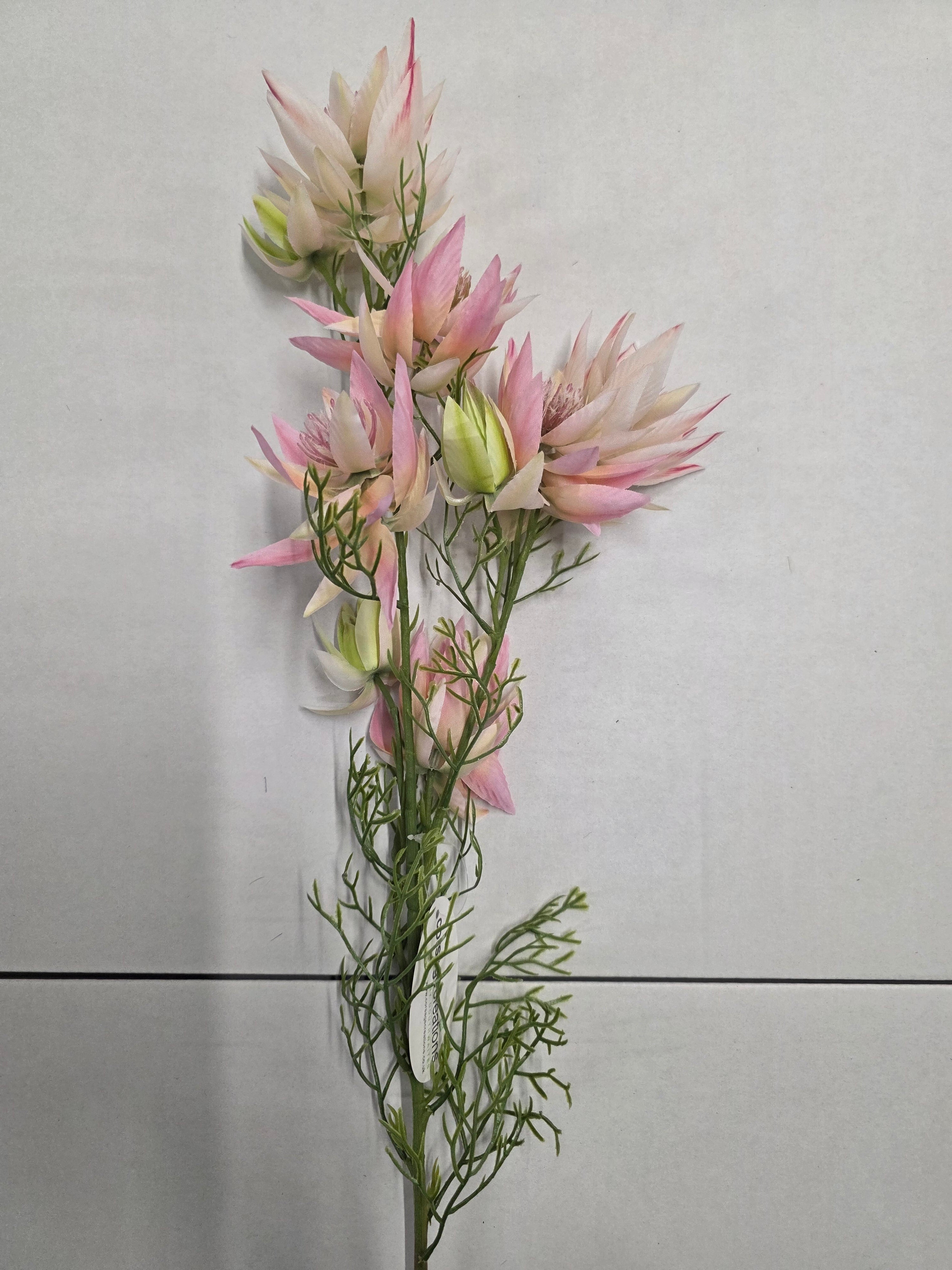 Artificial Leucadendron Spray Pink Green 68cm (PACK OF 2)