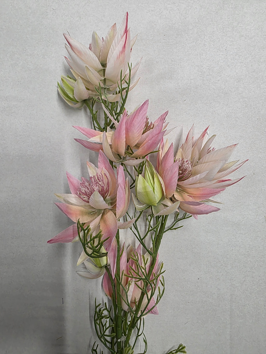 Artificial Leucadendron Spray Pink Green 68cm (PACK OF 2)