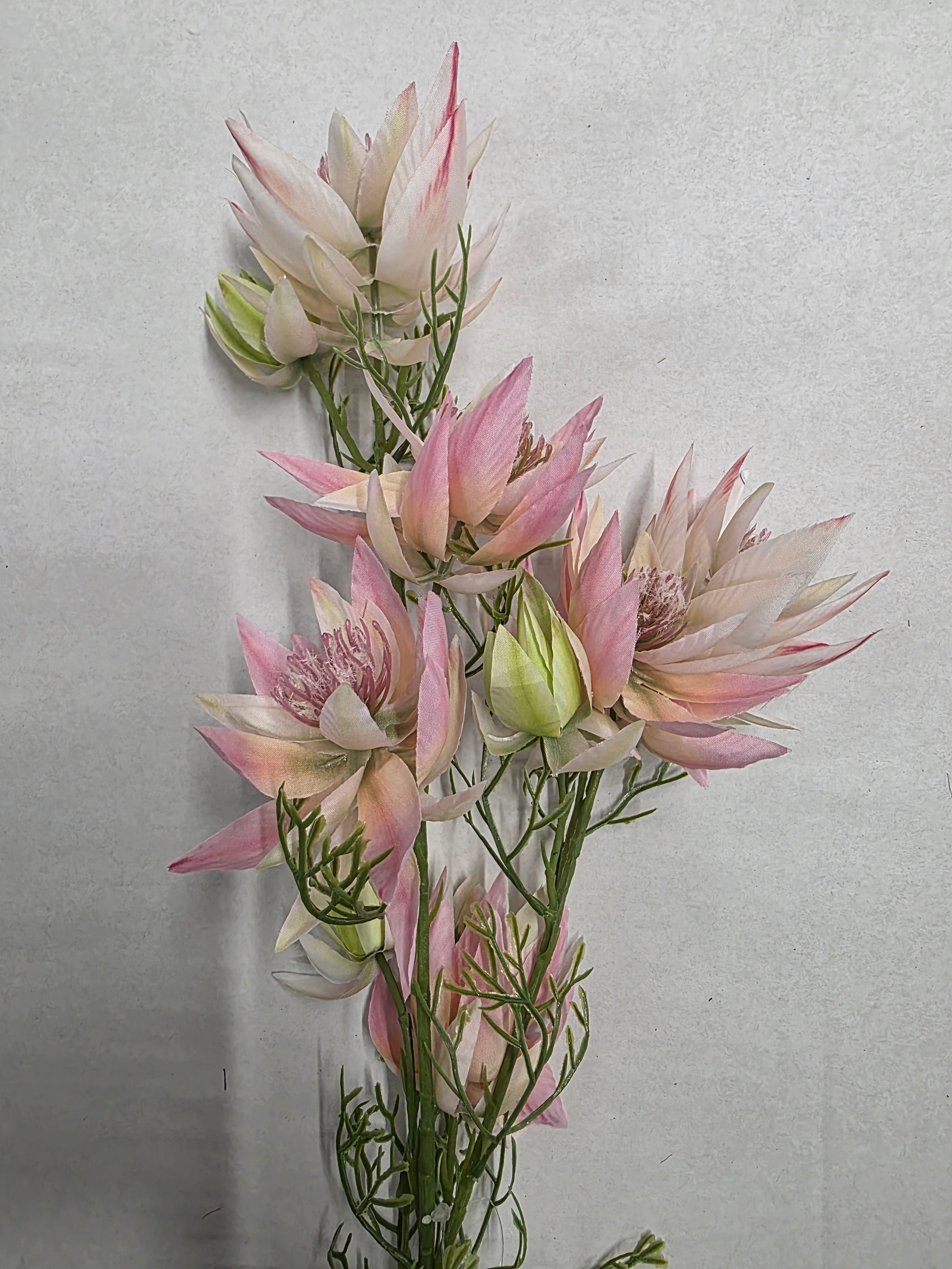 Artificial Leucadendron Spray Pink Green 68cm (PACK OF 2)