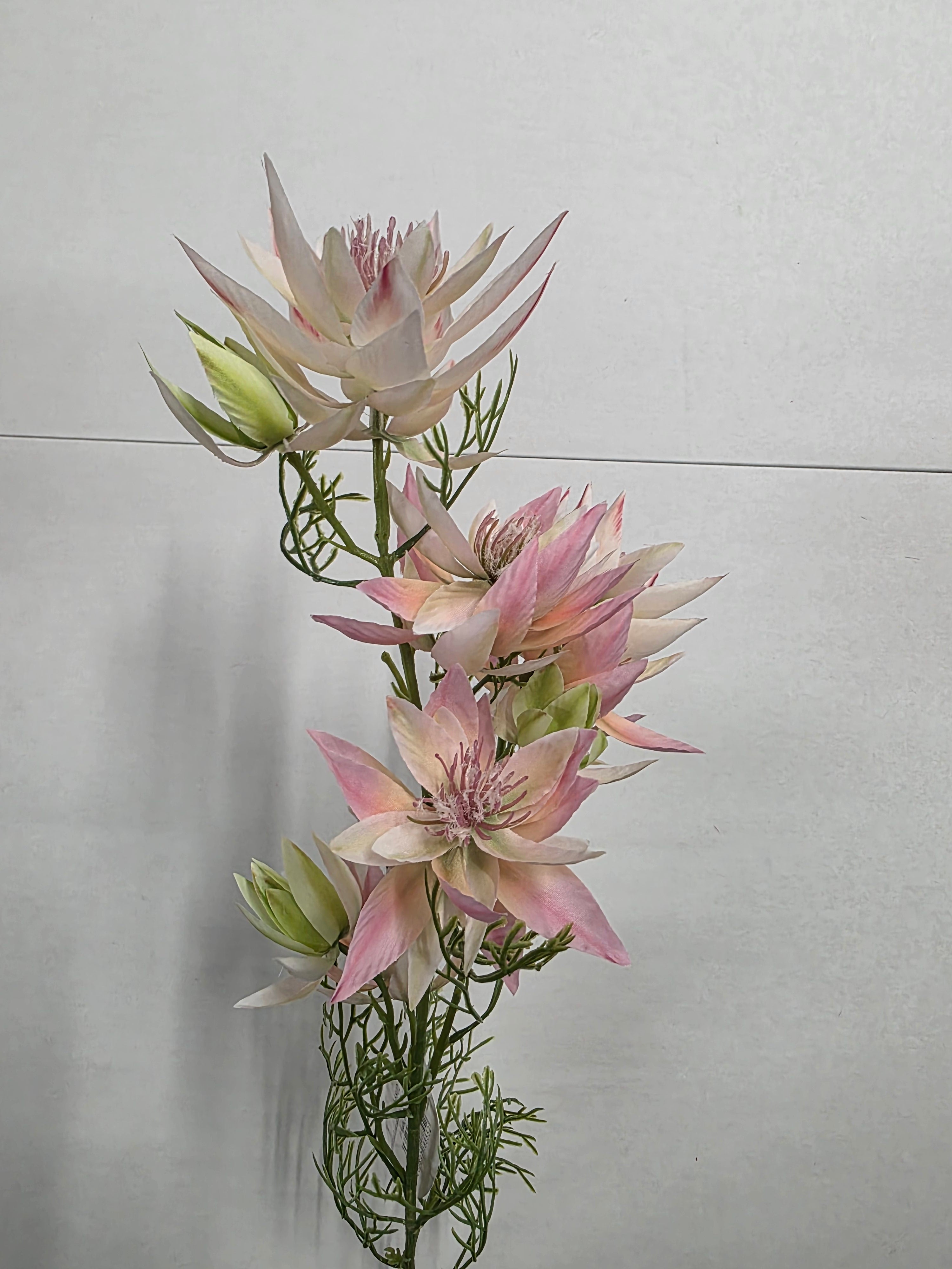 Artificial Leucadendron Spray Pink Green 68cm (PACK OF 2)