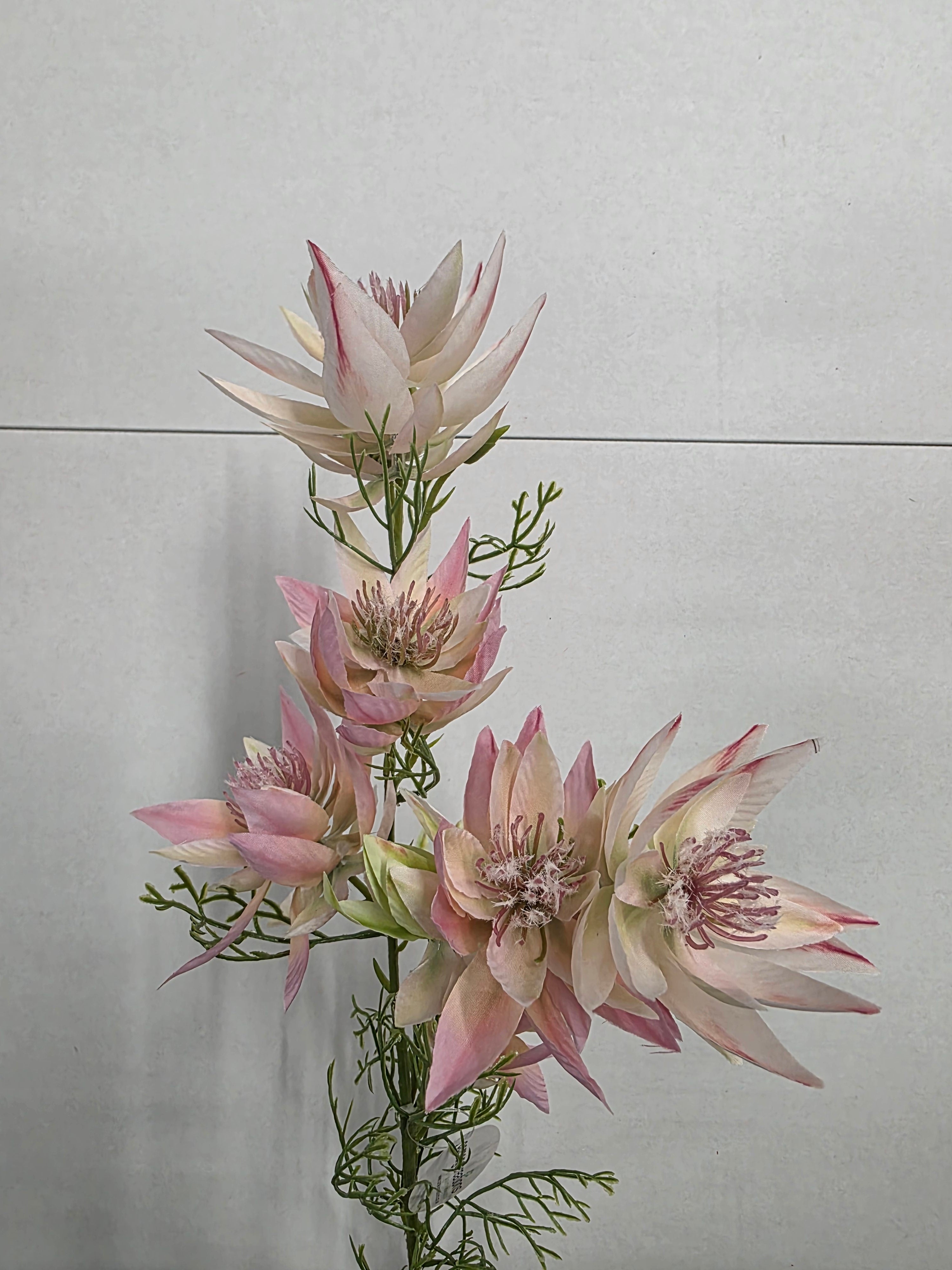 Artificial Leucadendron Spray Pink Green 68cm (PACK OF 2)
