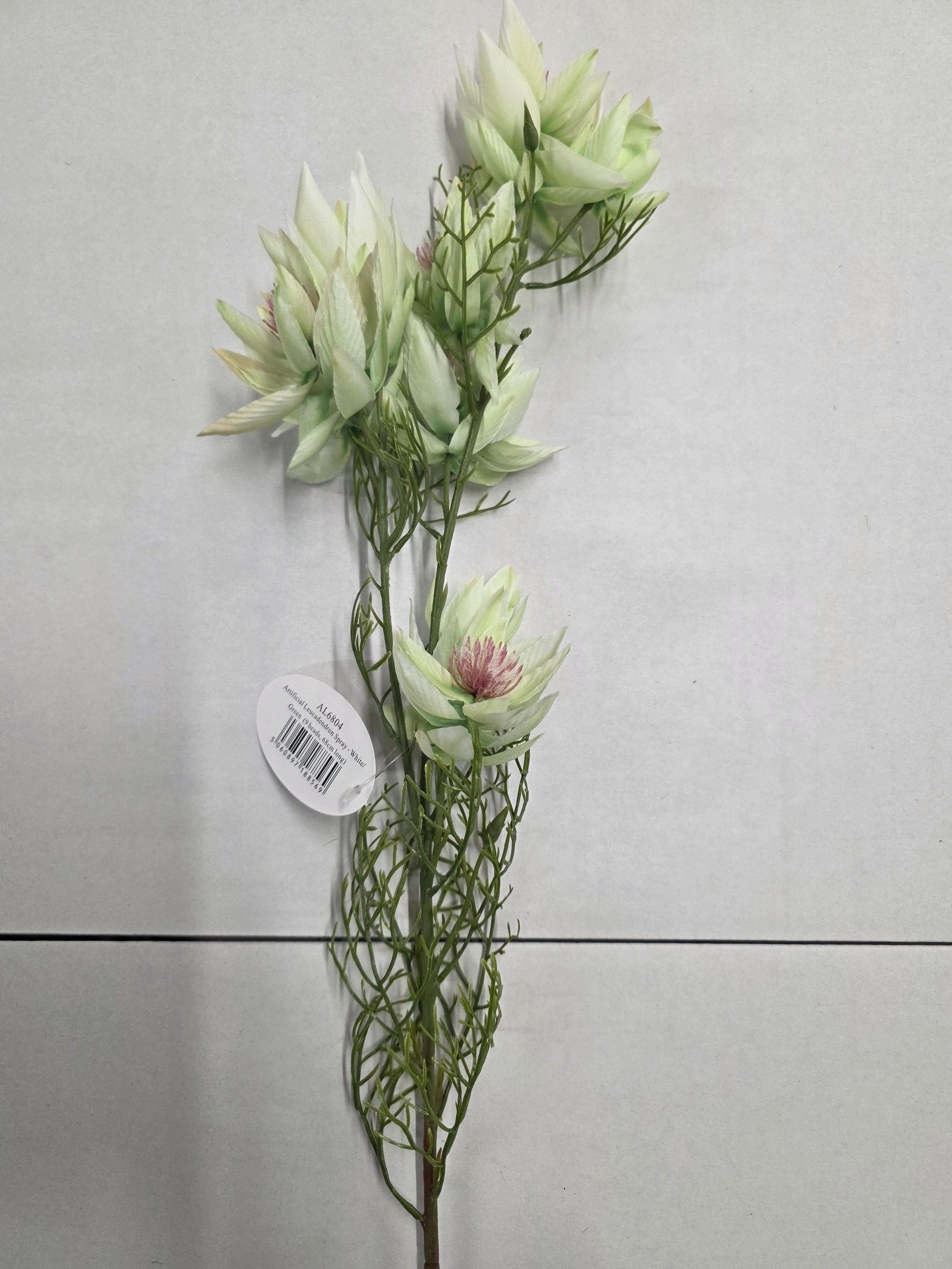 Artificial Leucadendron Spray White Green 68cm (PACK OF 2)
