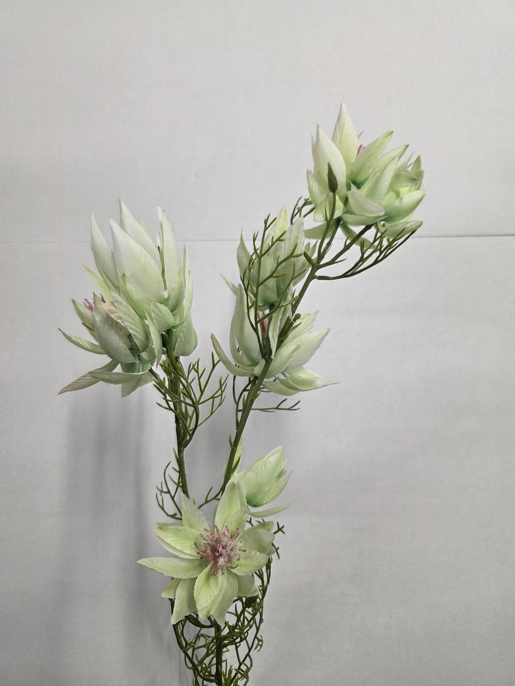 Artificial Leucadendron Spray White Green 68cm (PACK OF 2)