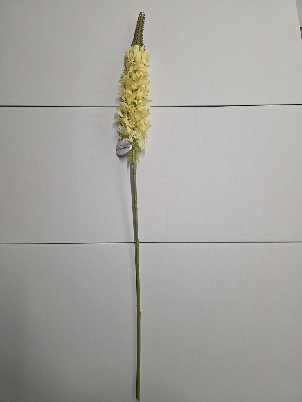 Artificial Lupin Cream (PACK OF 2)