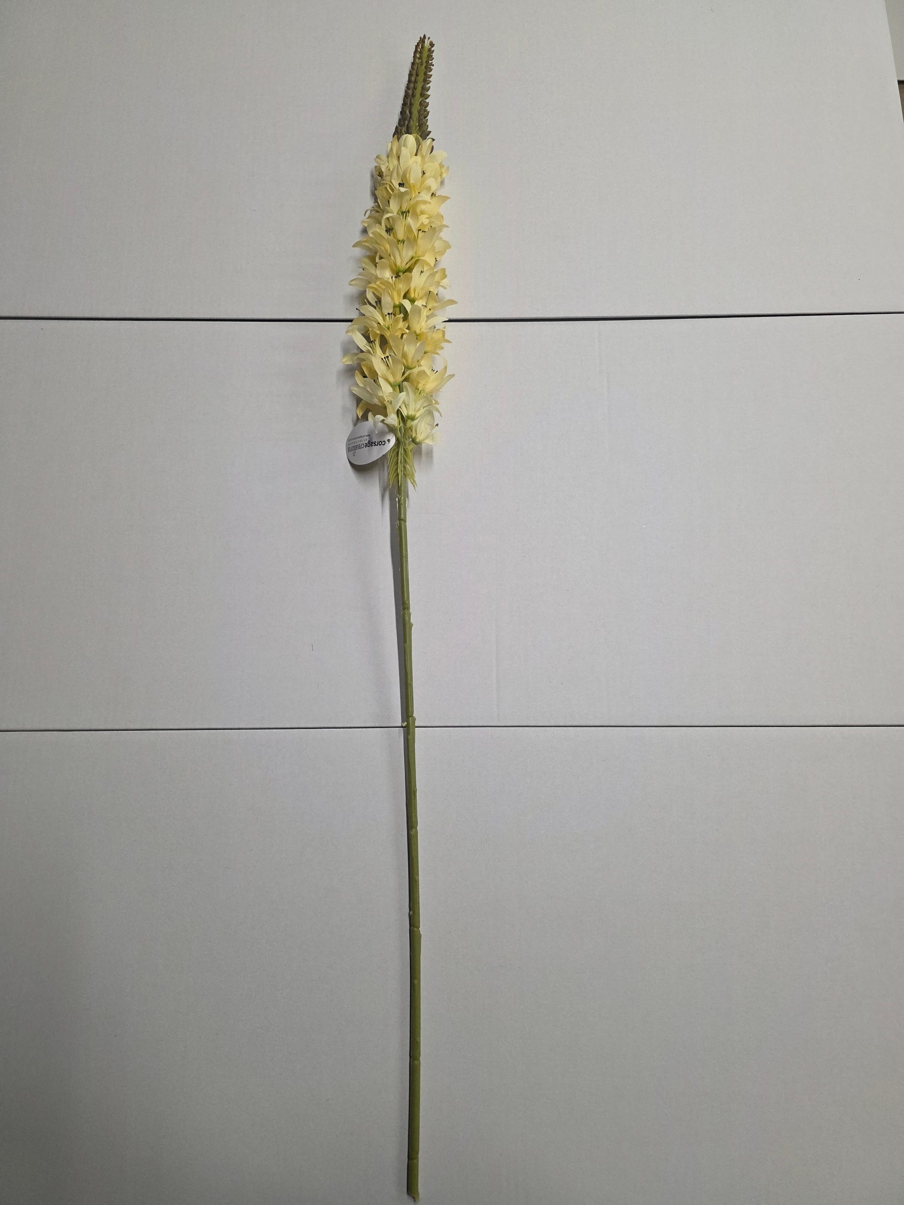 Artificial Lupin Cream (PACK OF 2)