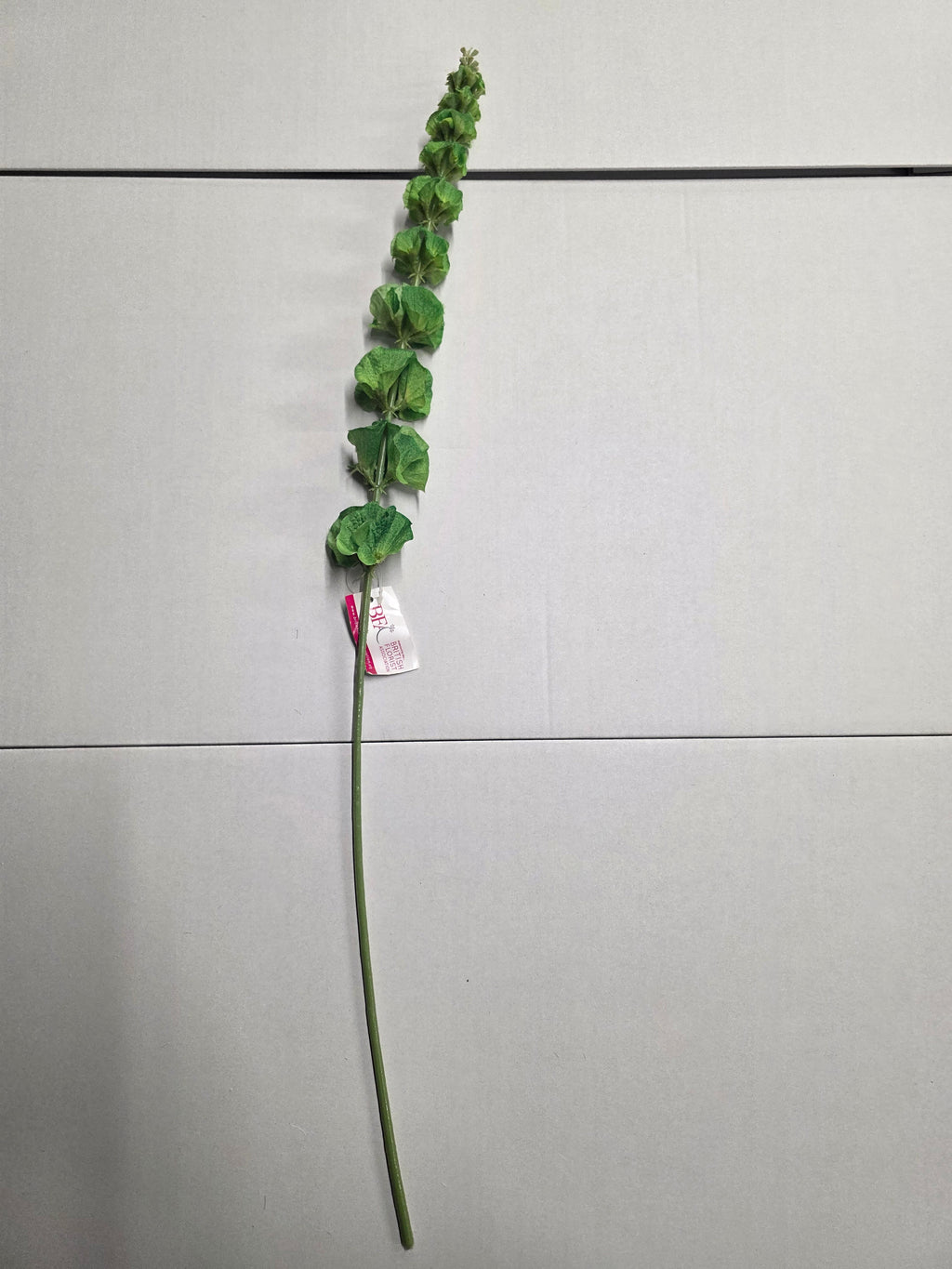 Artificial Molucella Green (PACK OF 2)