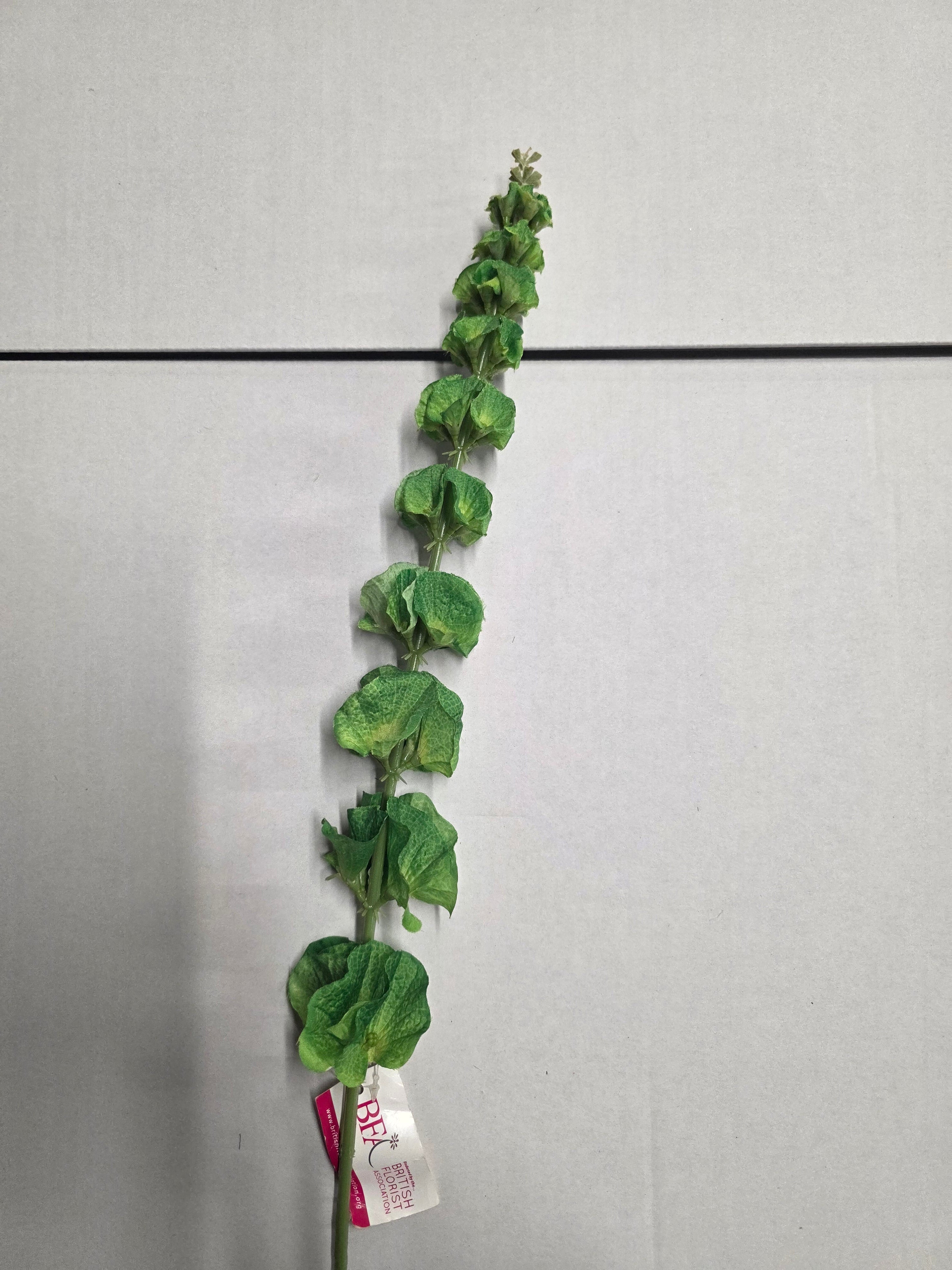 Artificial Molucella Green (PACK OF 2)