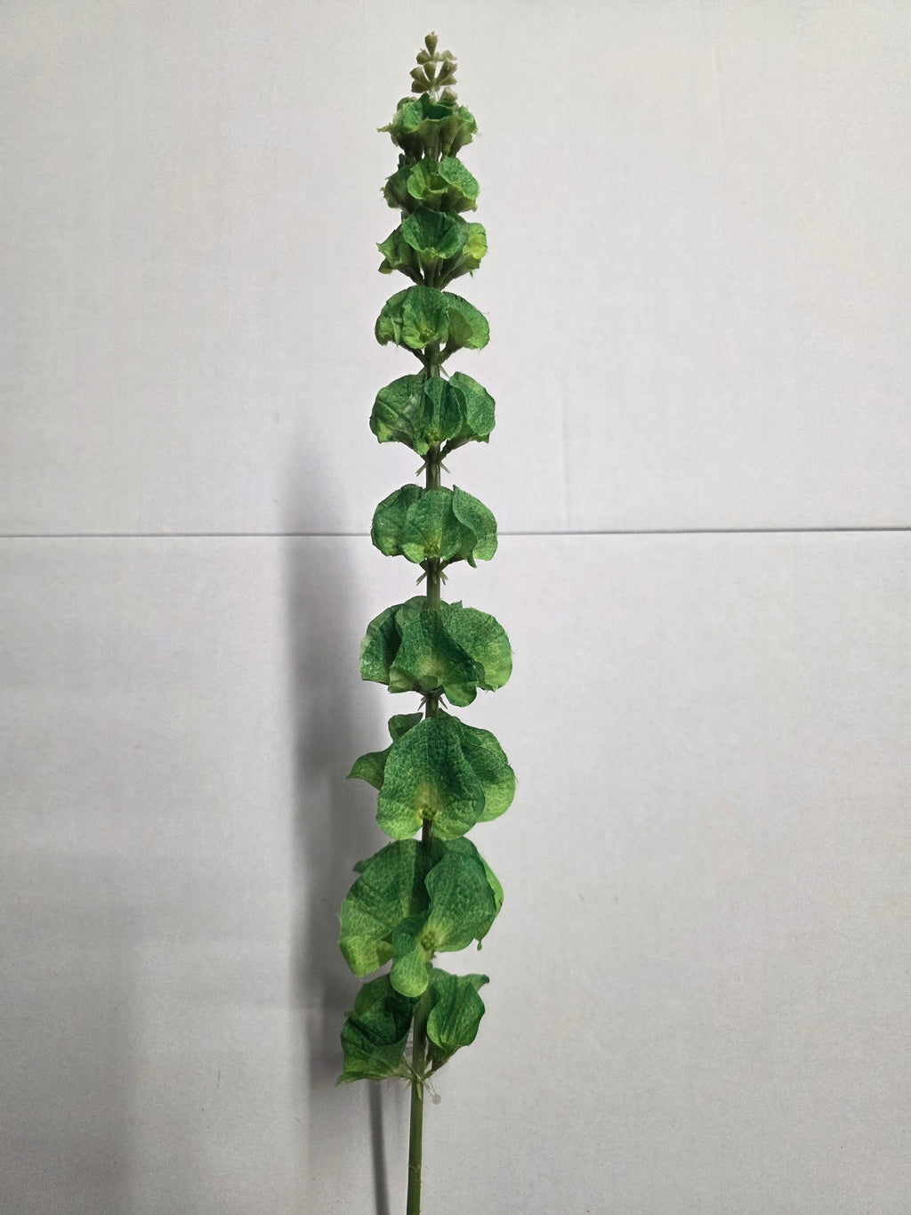 Artificial Molucella Green (PACK OF 2)