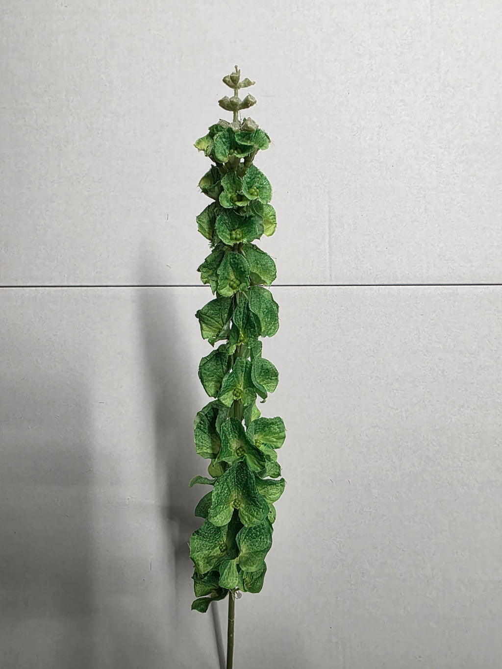 Artificial Molucella Green (PACK OF 2)