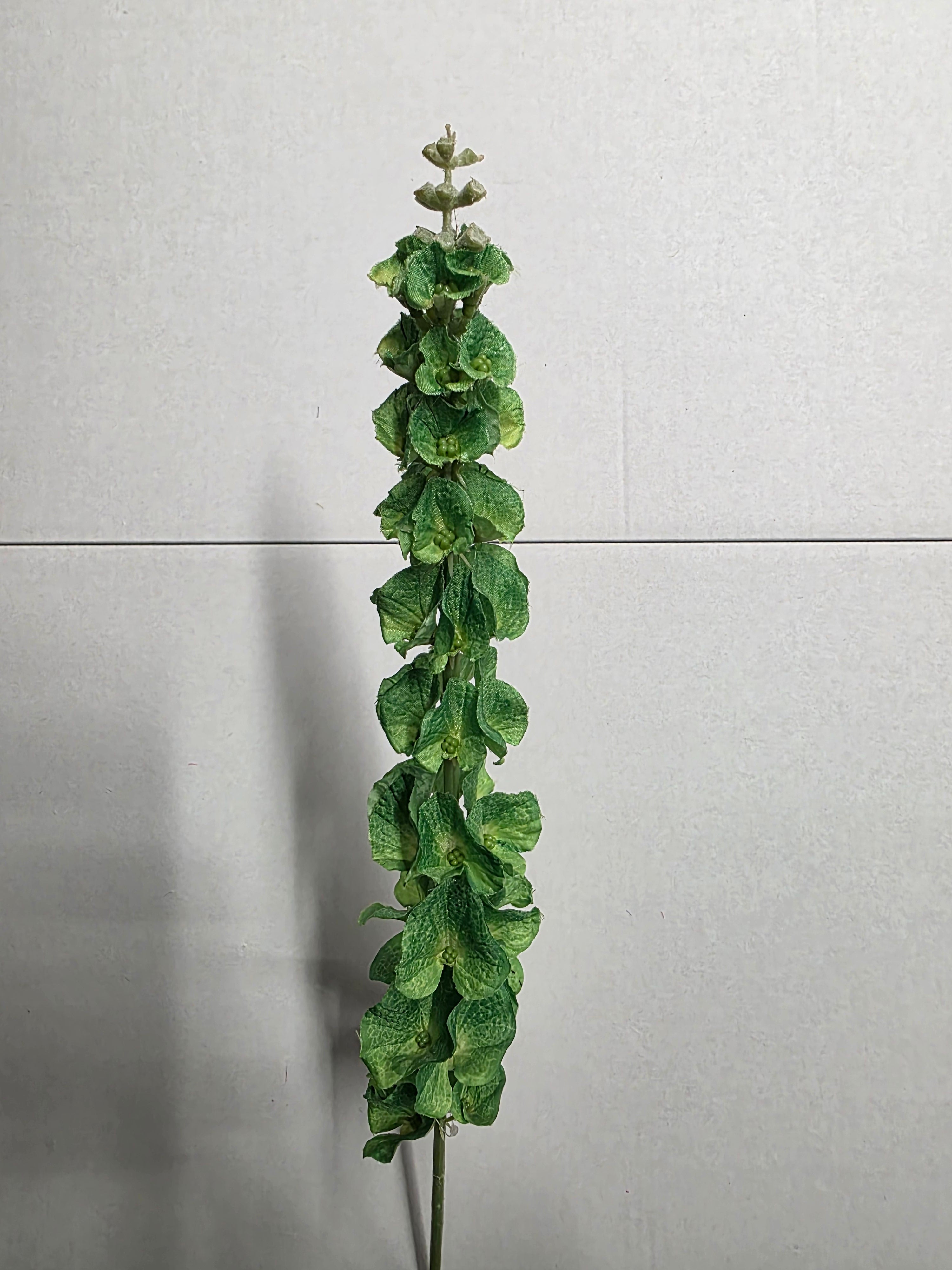 Artificial Molucella Green (PACK OF 2)