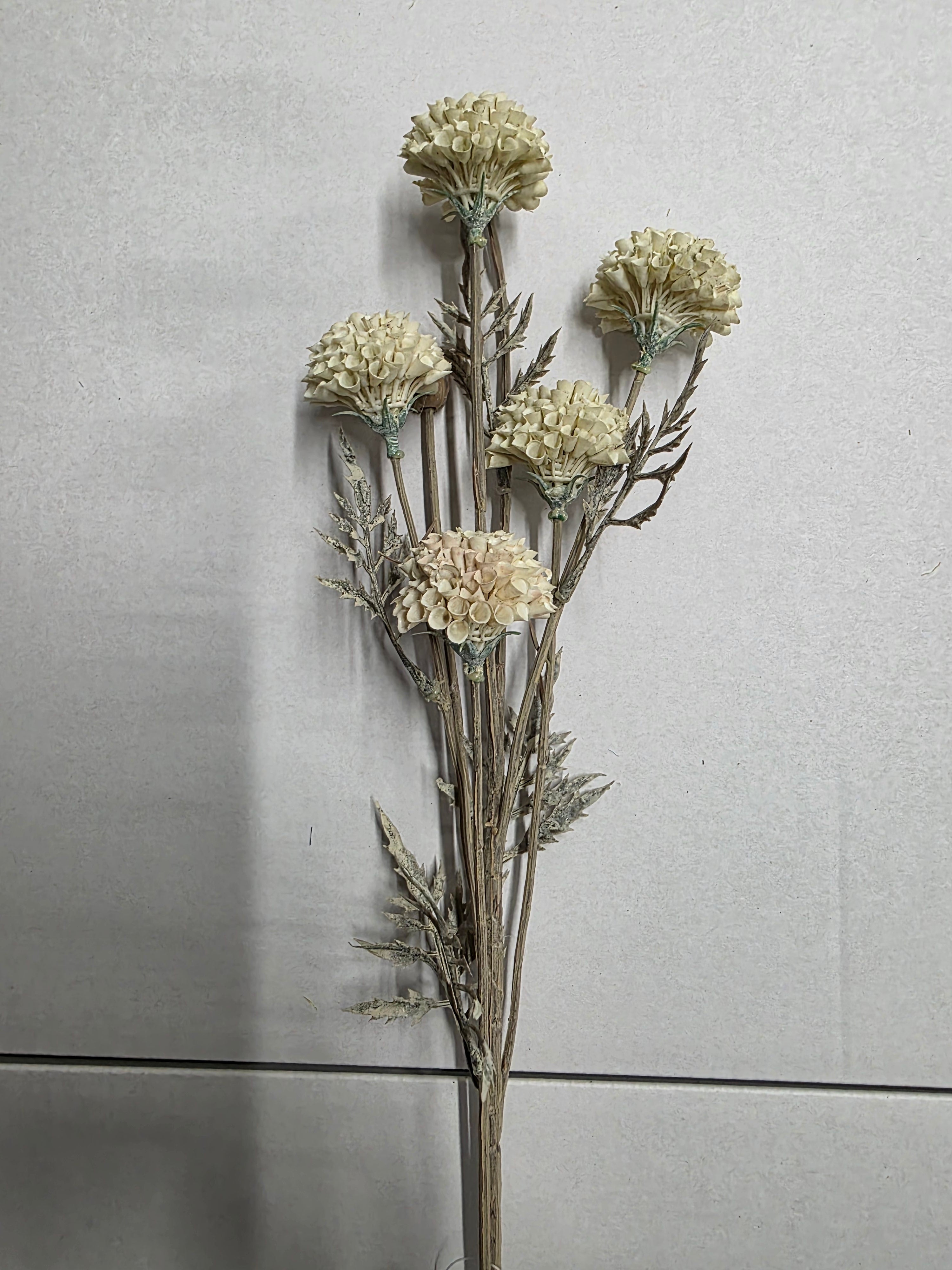 Artificial Mum Spray 5 Heads Cream (PACK OF 2)