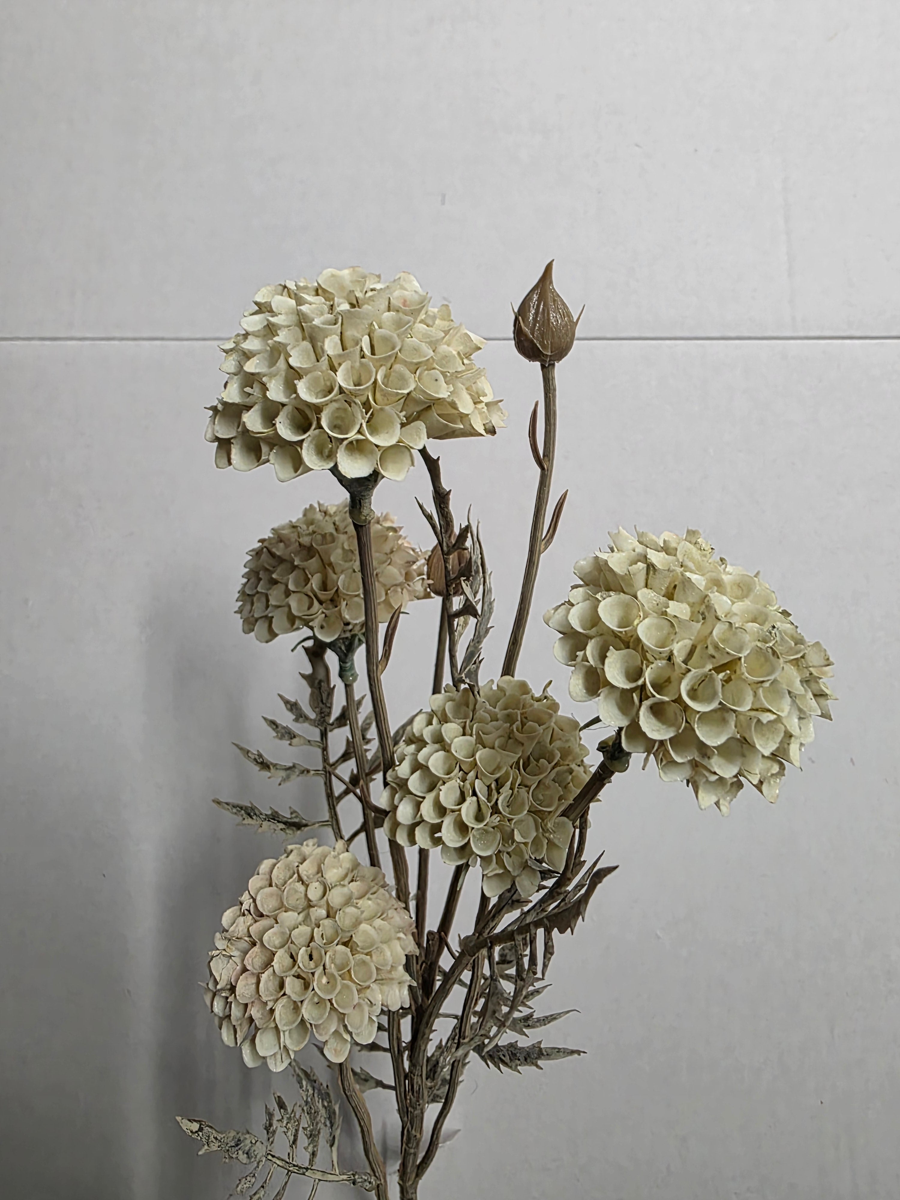 Artificial Mum Spray 5 Heads Cream (PACK OF 2)