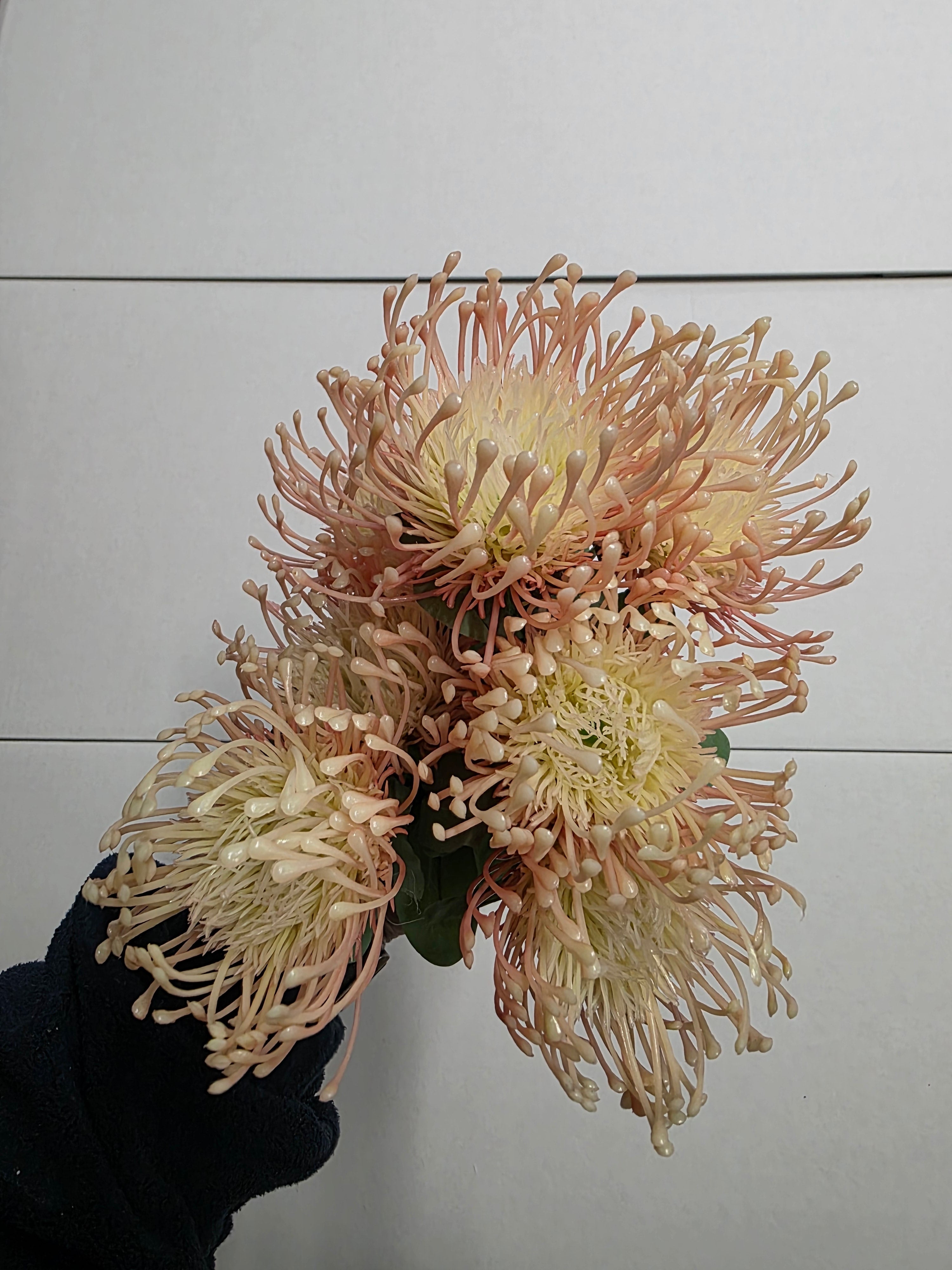 Artificial Leucadendron 48cm Ass X1 (PACK OF 2)