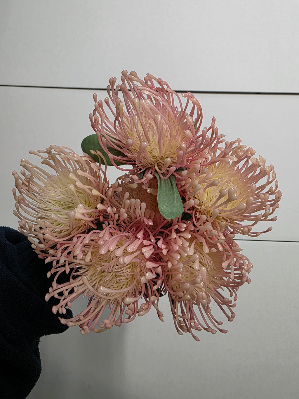 Artificial Leucadendron 48cm Ass X1 (PACK OF 2)