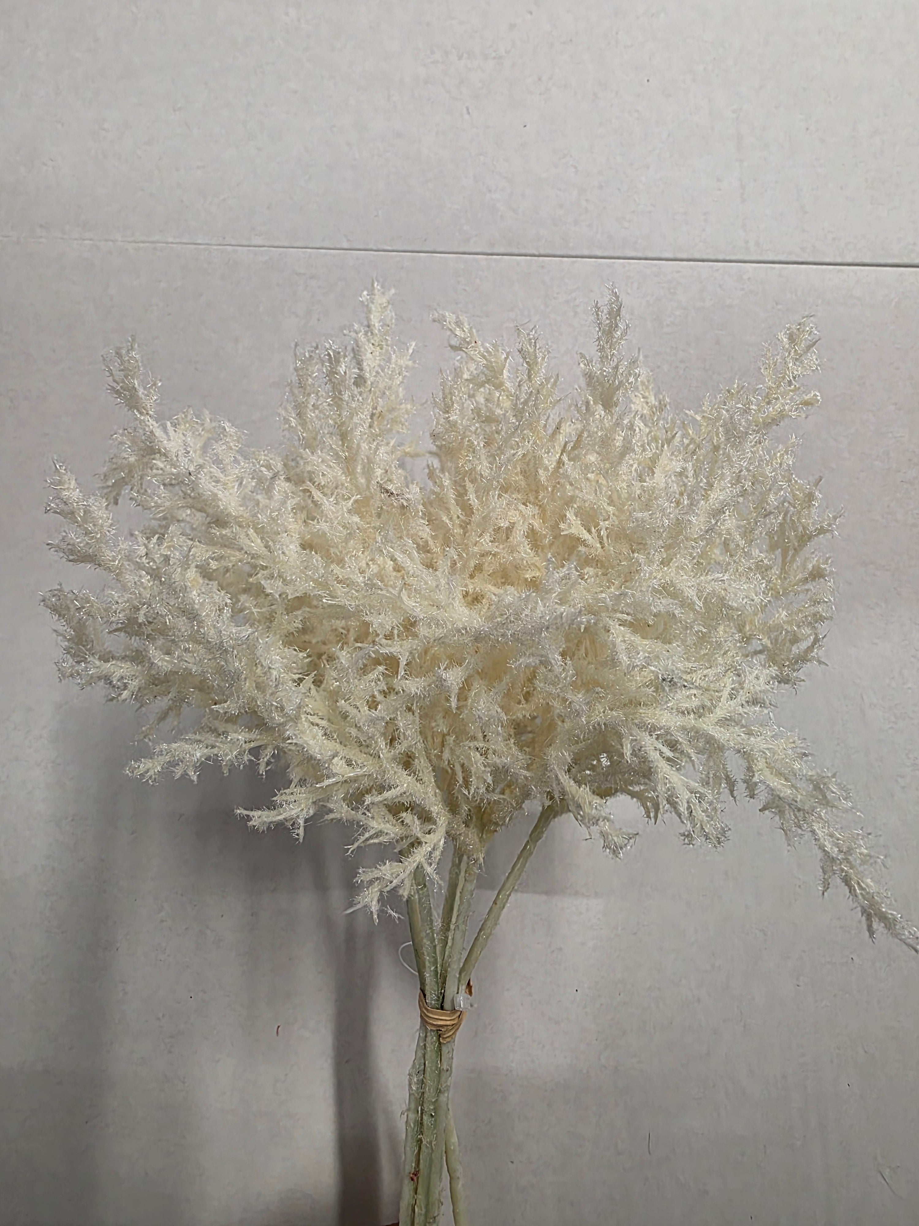 Artificial Reed Inflorescence Cream X6