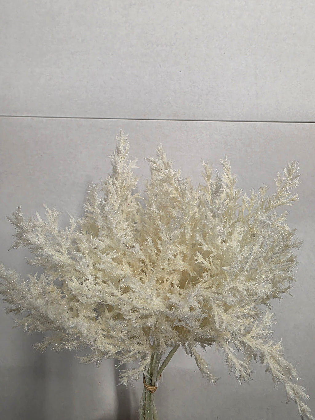 Artificial Reed Inflorescence Cream X6