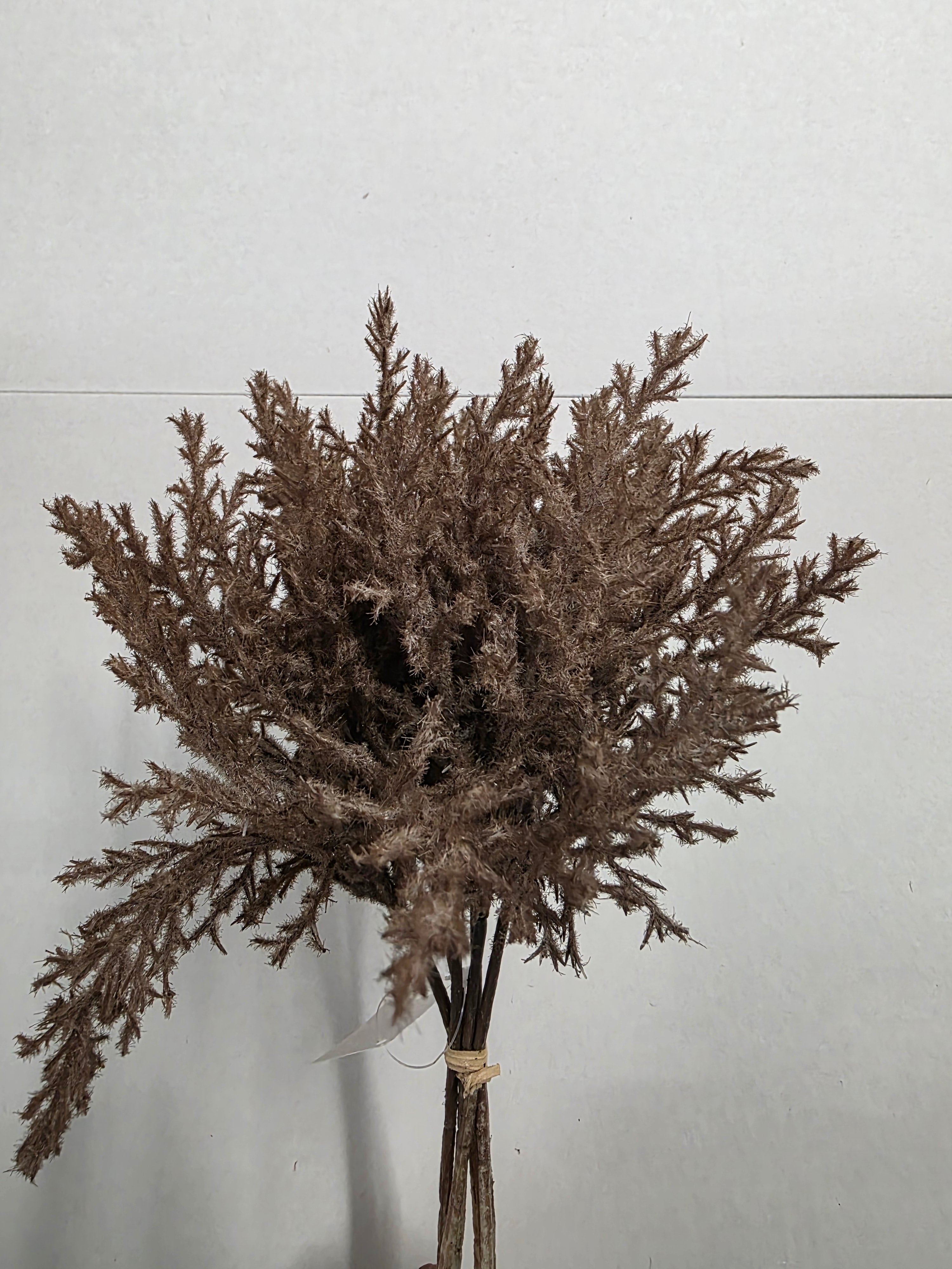 Artificial Reed Inflorescence Dark Beige X6